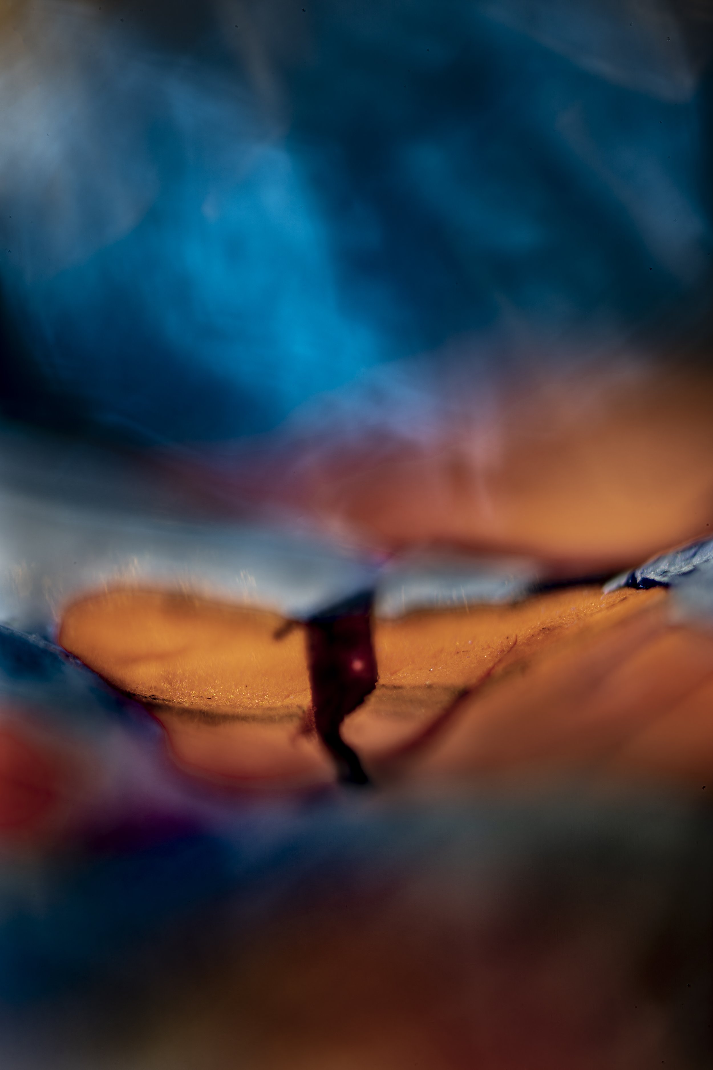 10.15.5.JUP50.3.31.24-4392E copy.jpg