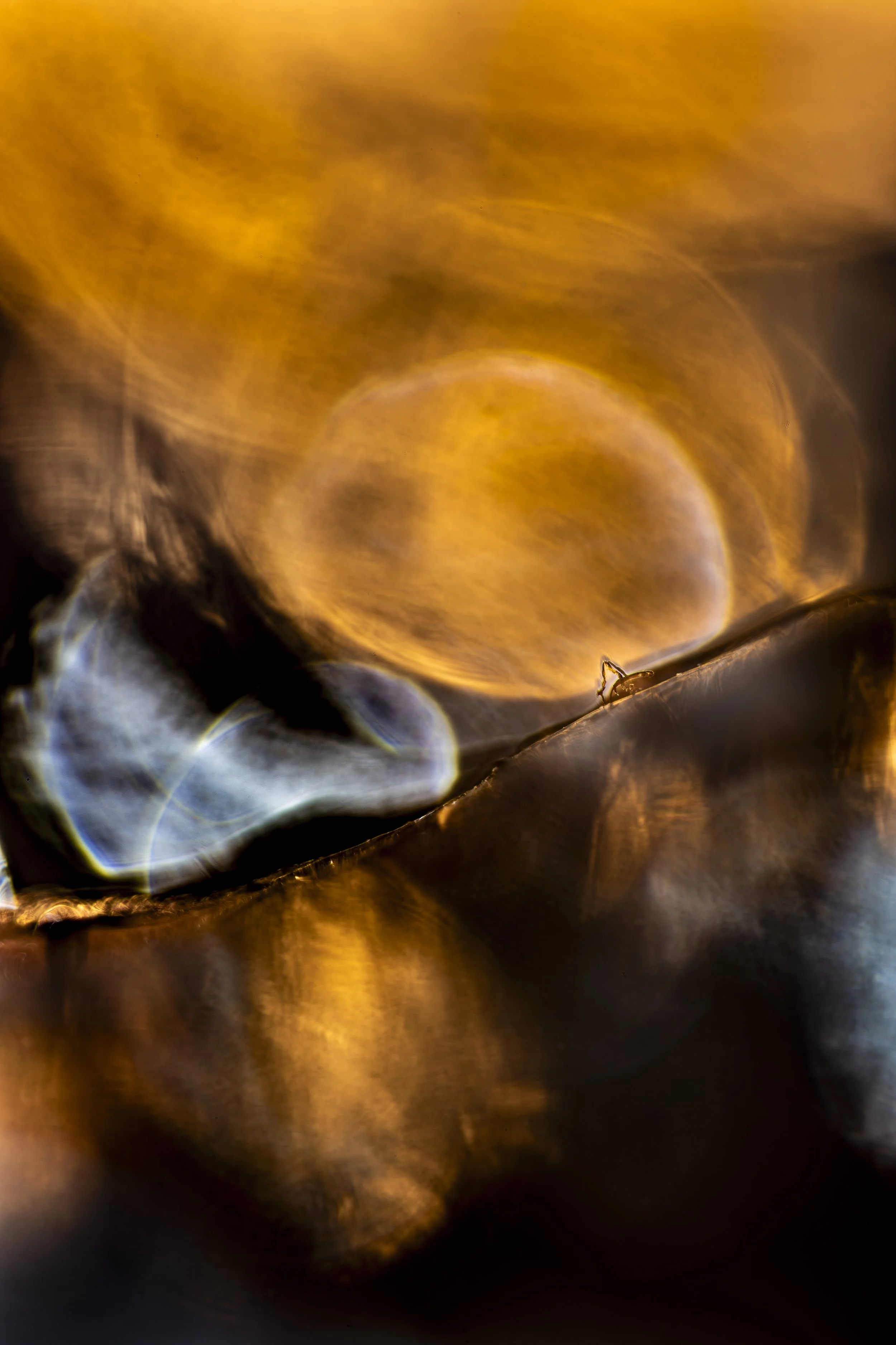 10.15.5.STEIN85.2.28.24-1-2583E.SP copy.jpg