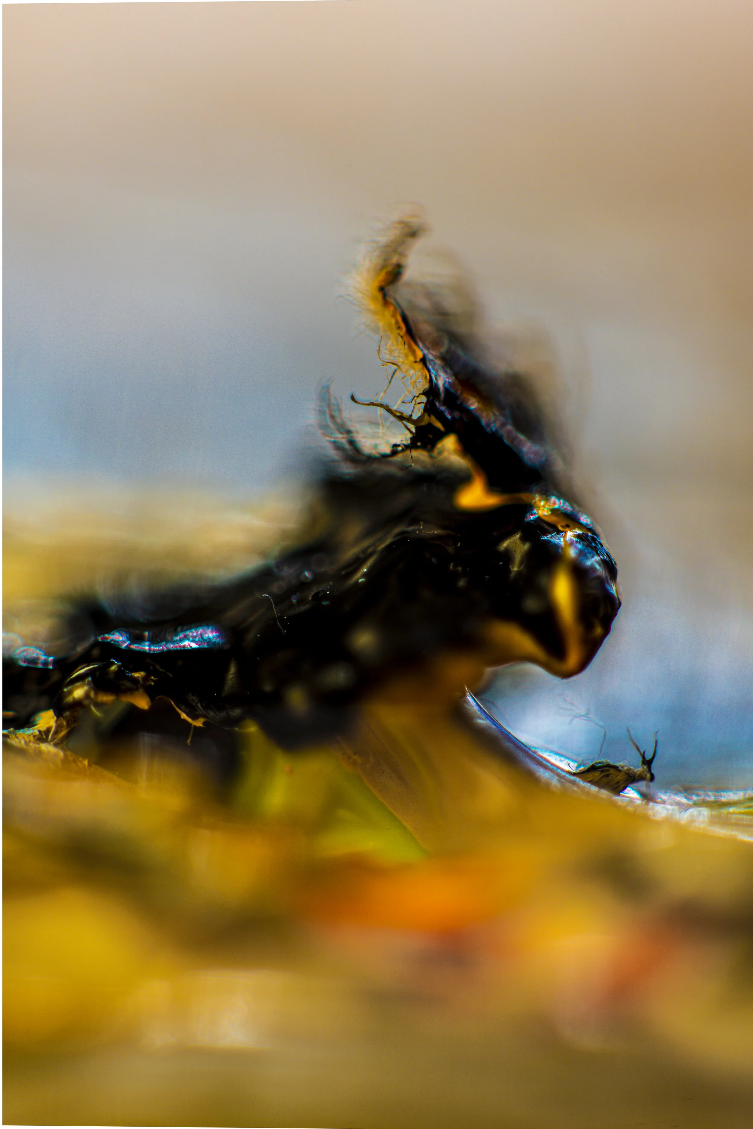 12.8.7-Z tff filter-LMZ-98.ELK.jpg