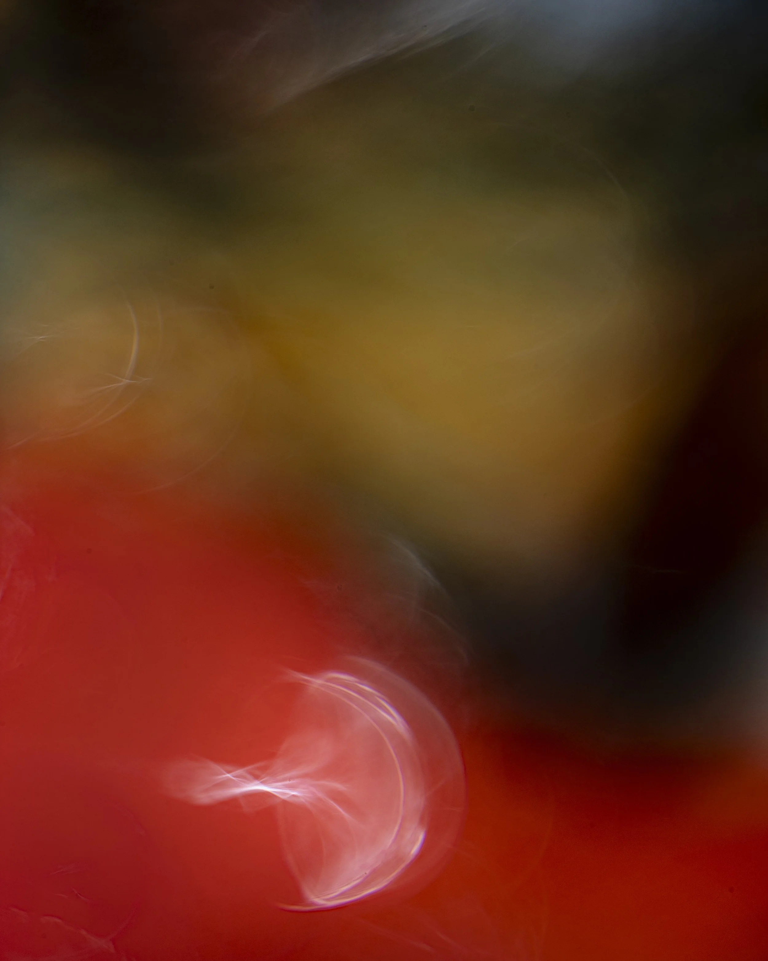 1.4.lb80.S.7.5.25-723 copy.jpg