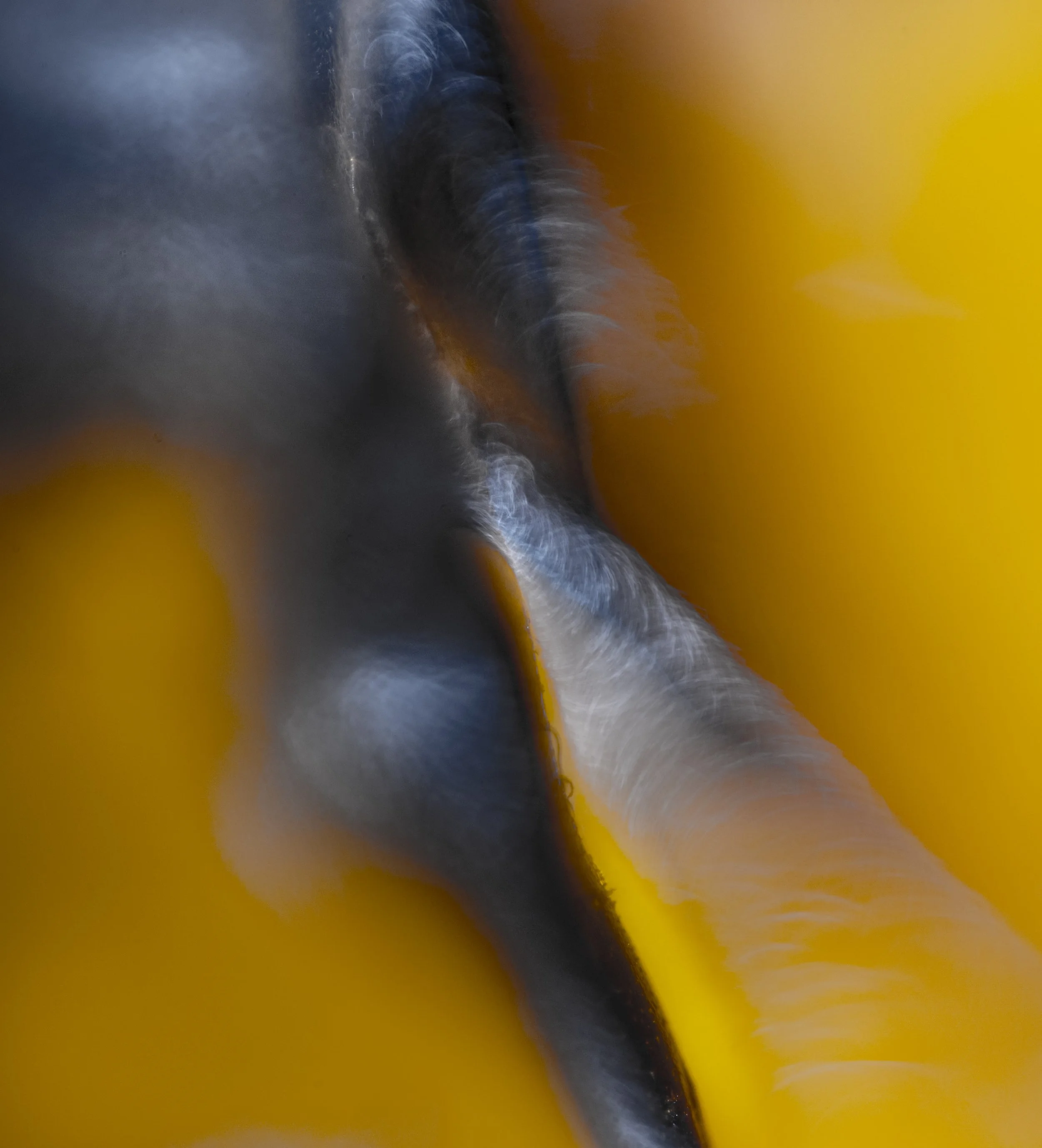 10.6.2.STEIN85.4.3.25.5622 copy.jpg