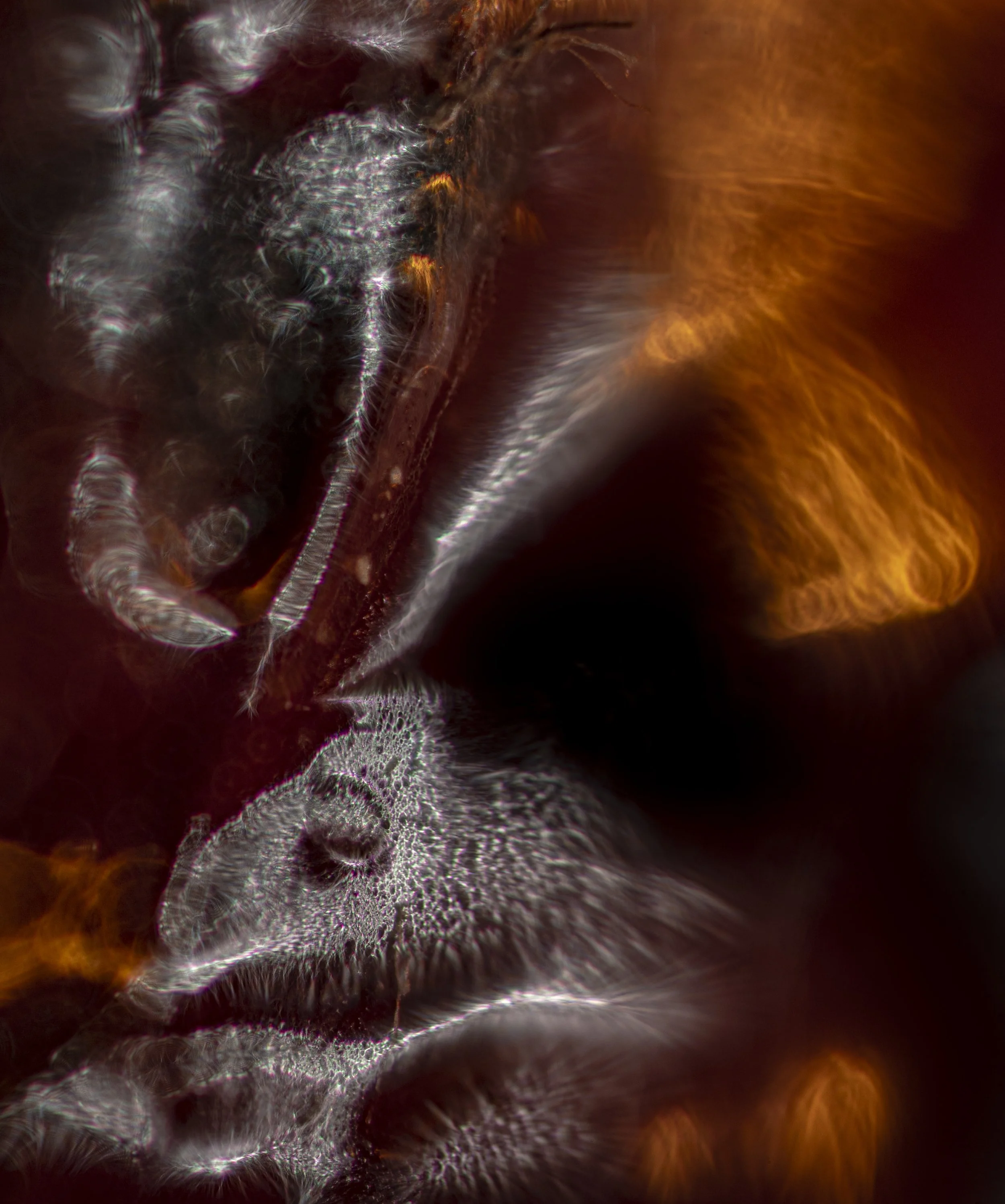 10.6.2.JUP50.4.11.25-6145 copy.jpg