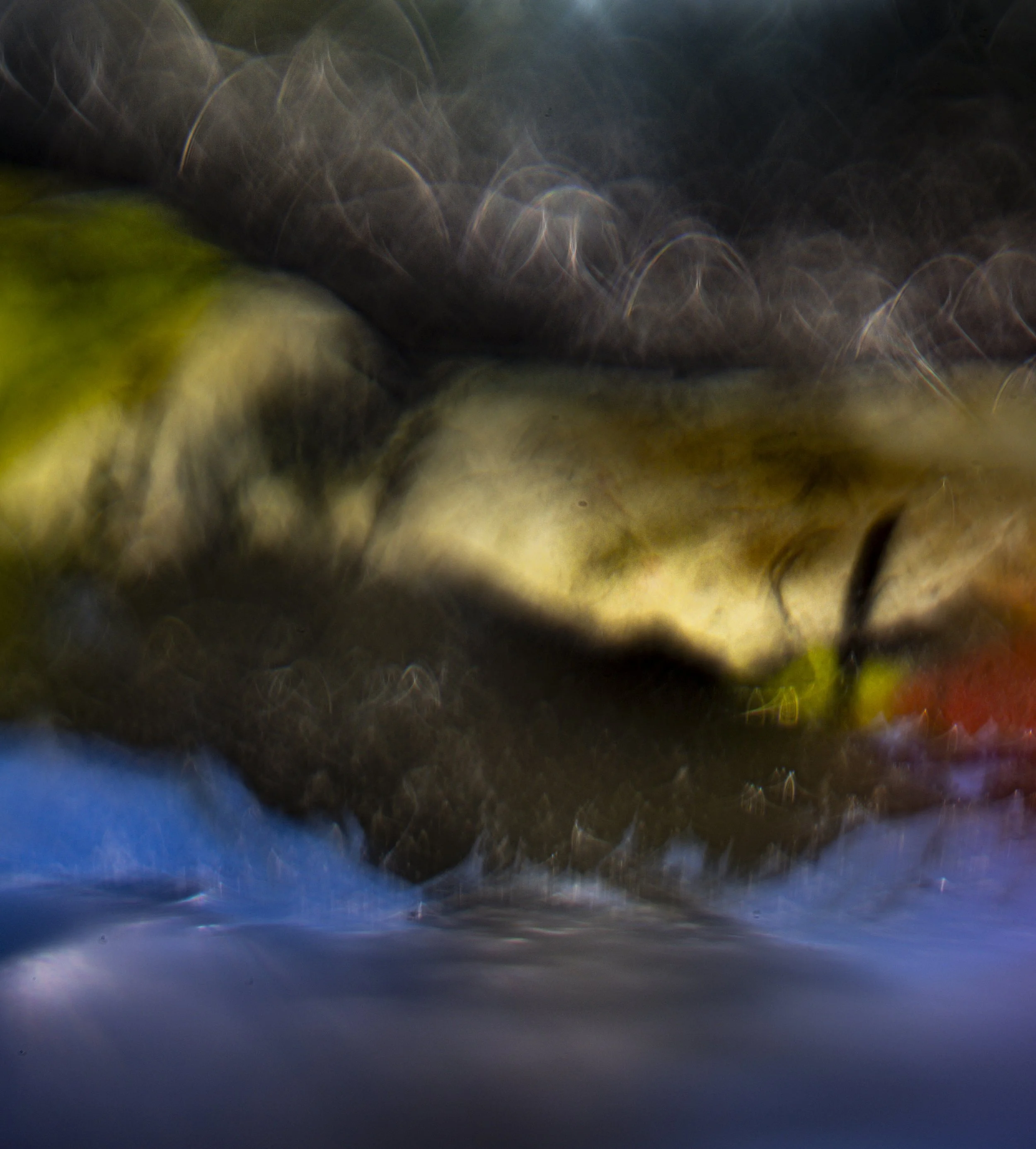 6.15.6.LK80.7.6.25-1510 copy.jpg