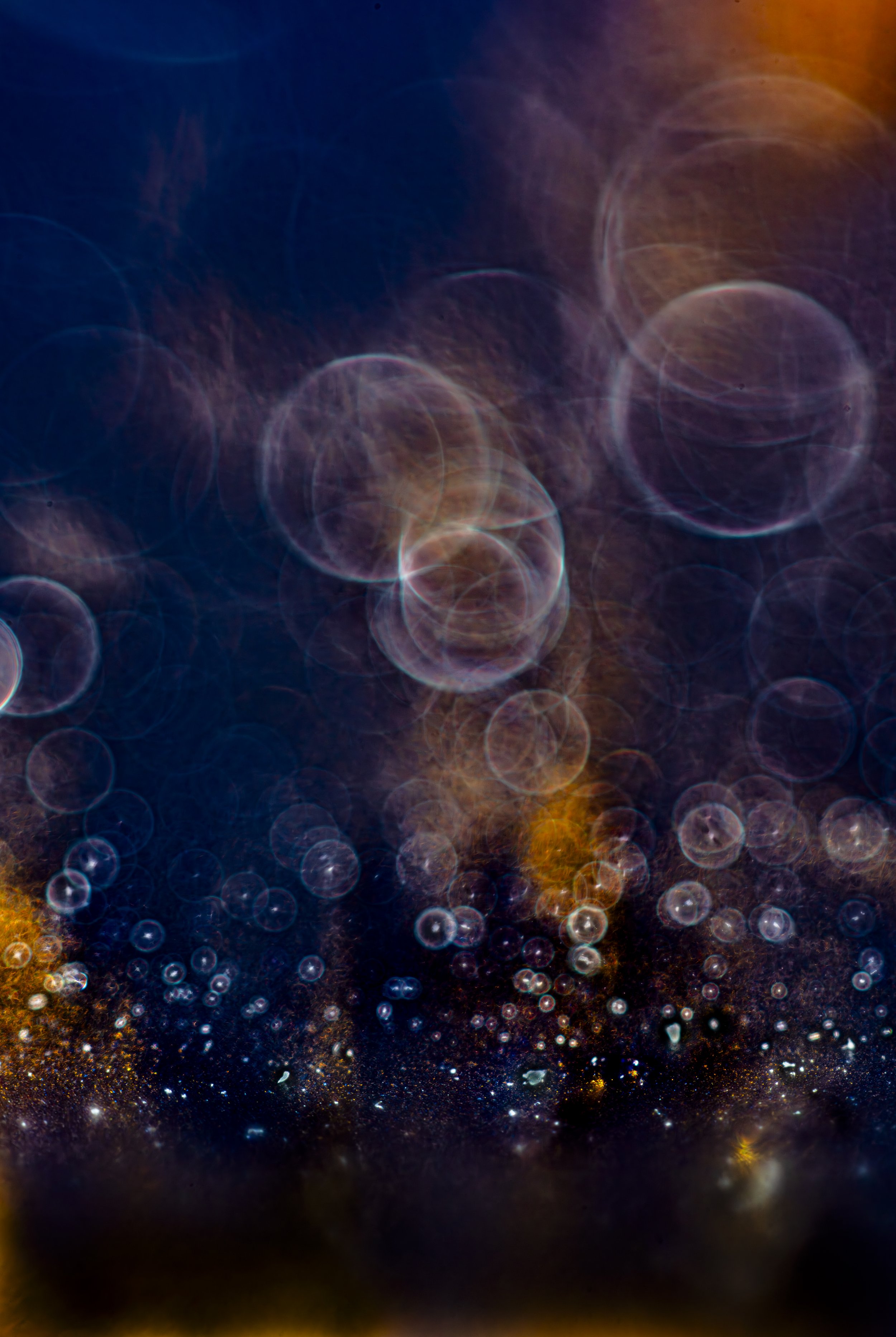 TBW.CAN85.4.19.24-1-970E copy.jpg