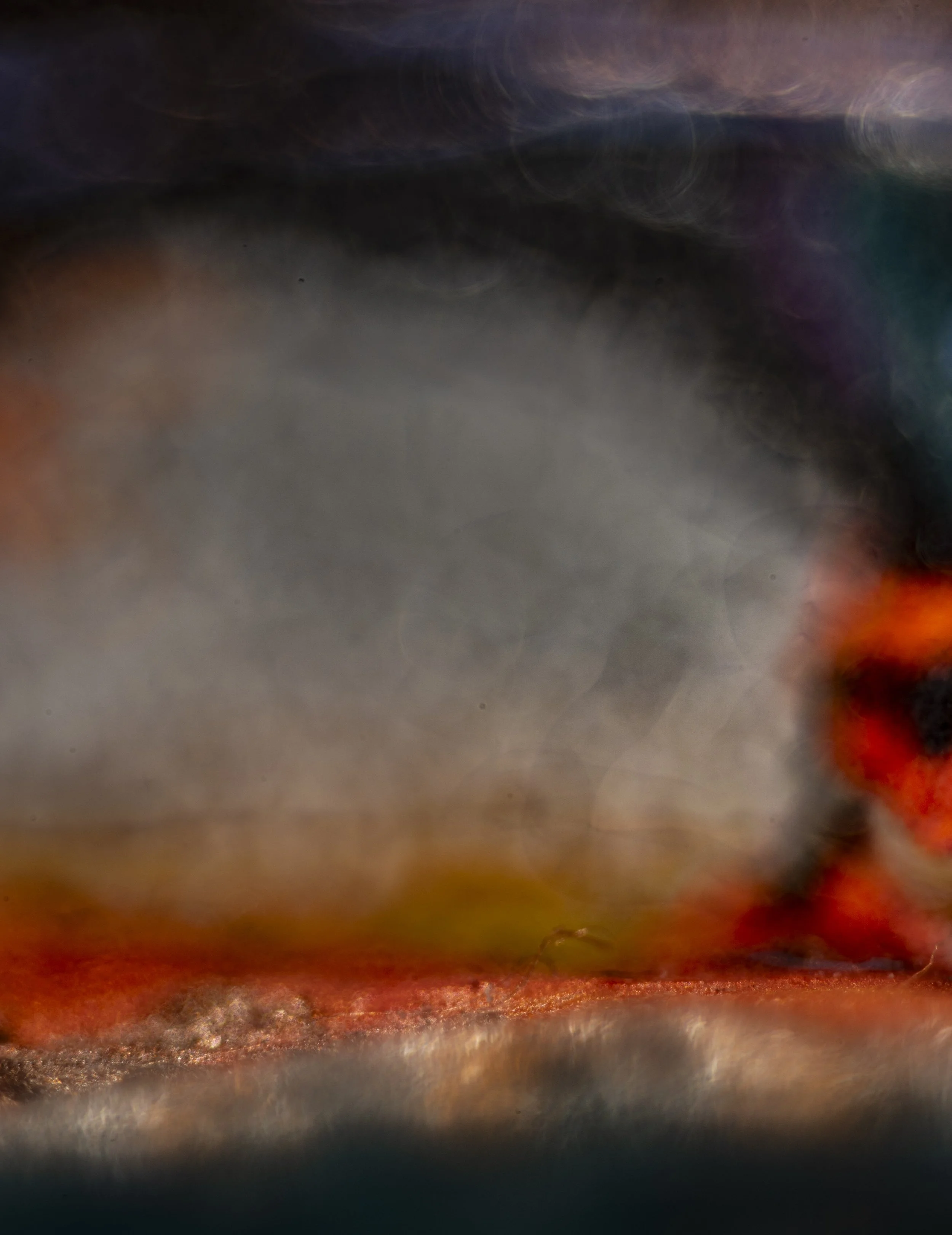 TBW.STEIN85.9.12.25-6855 copy.jpg