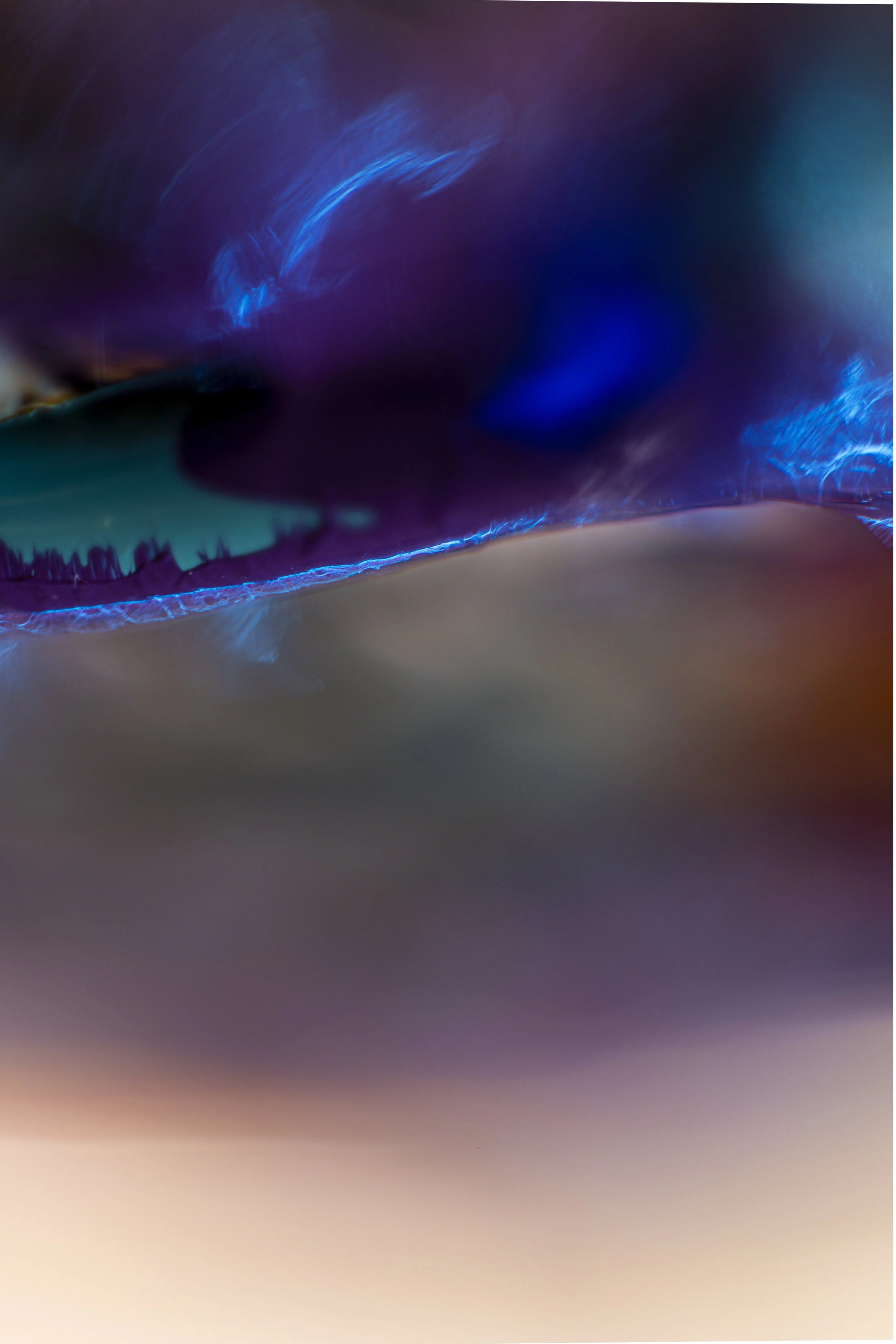 12.8.7-Z tff filter-LZT-80.jpg