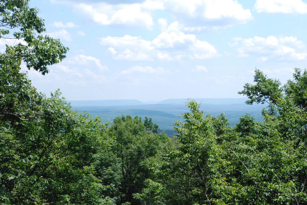 preliminary design taking into account view