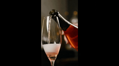 Video Object Remover-1765990725000.gif