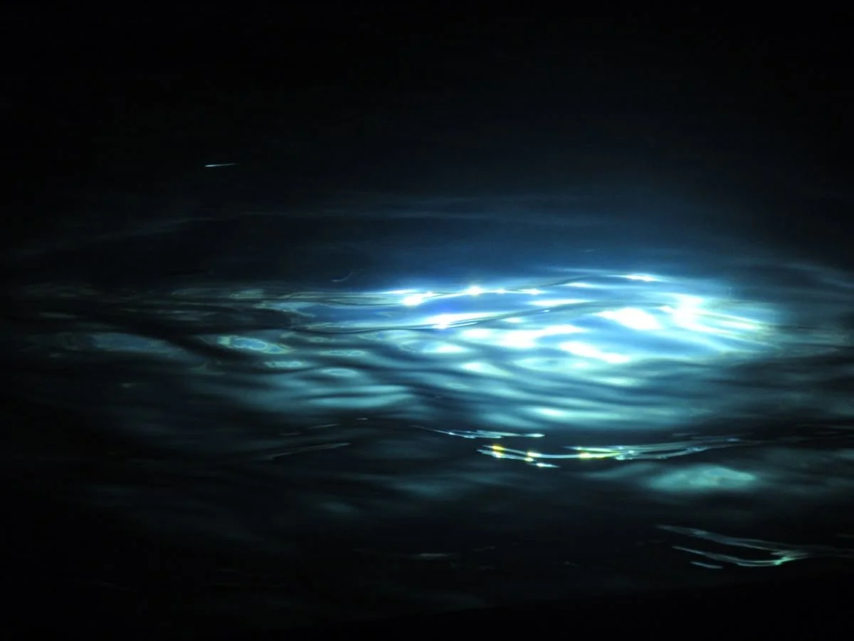 Bioluminescent light illuminating the water's surface at night.