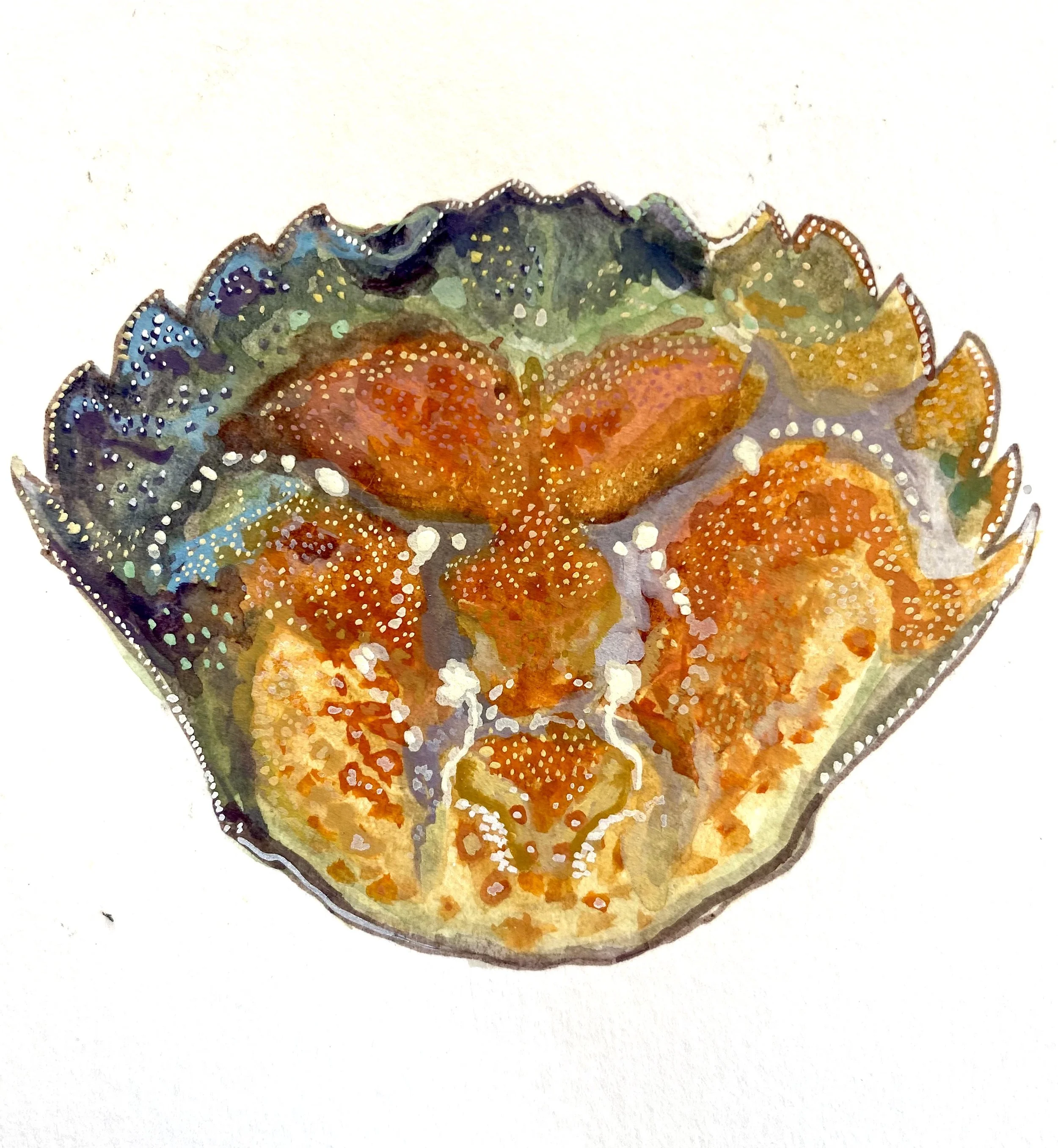Watercolor painting of a crab shell.
