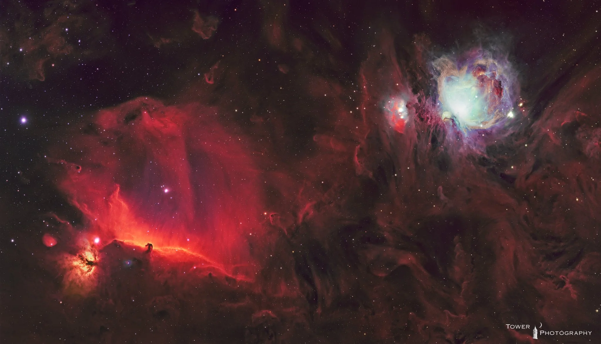 A vibrant photo of a nebula in space showing bright pink, red, and white gases and dust with numerous stars scattered throughout.