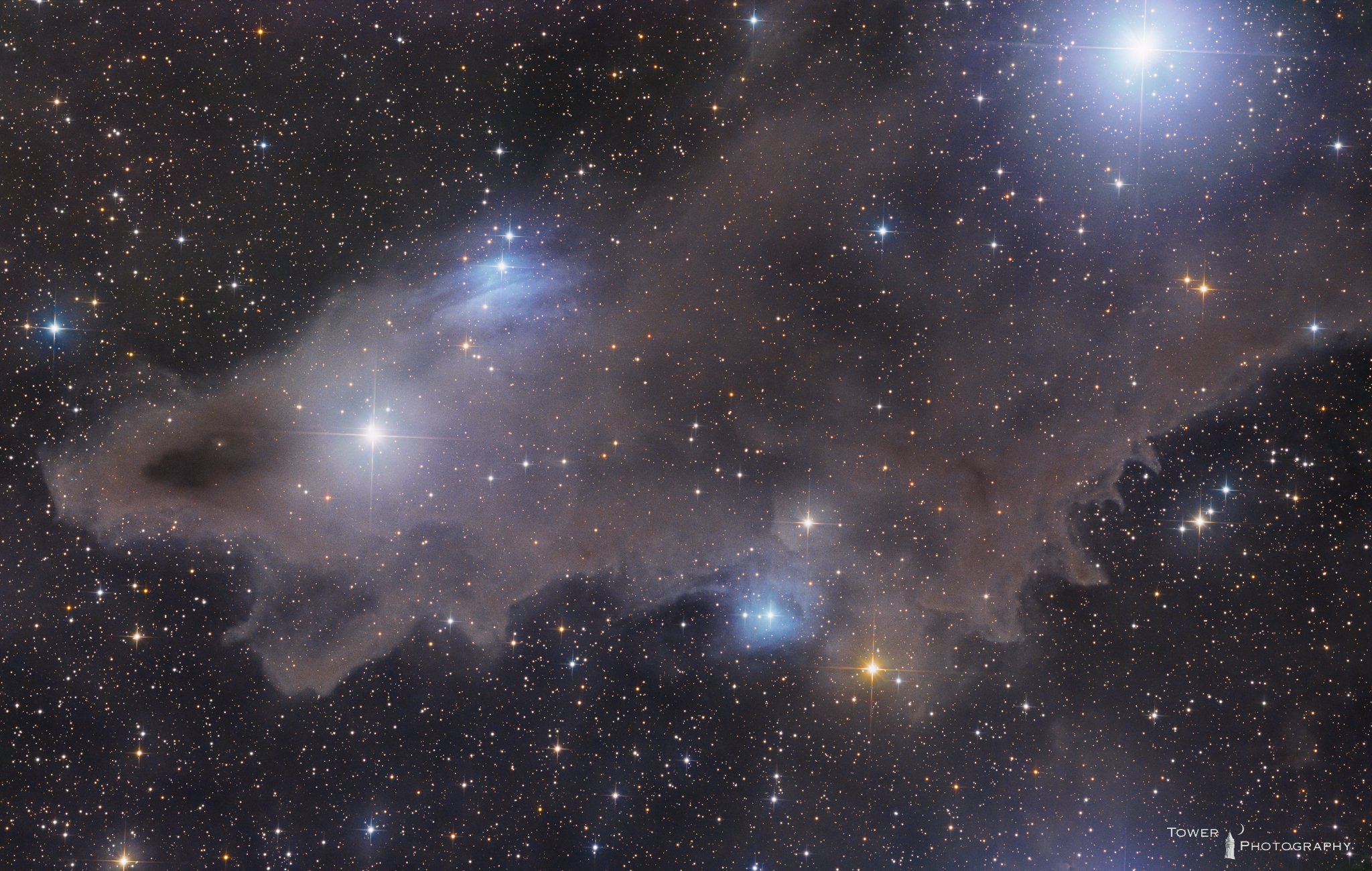 Deep space image of a star-filled nebula with bright stars and dark dust clouds across the scene.