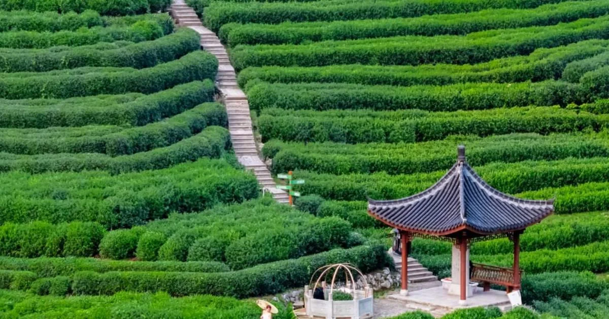 杭州城市地标私人行程
