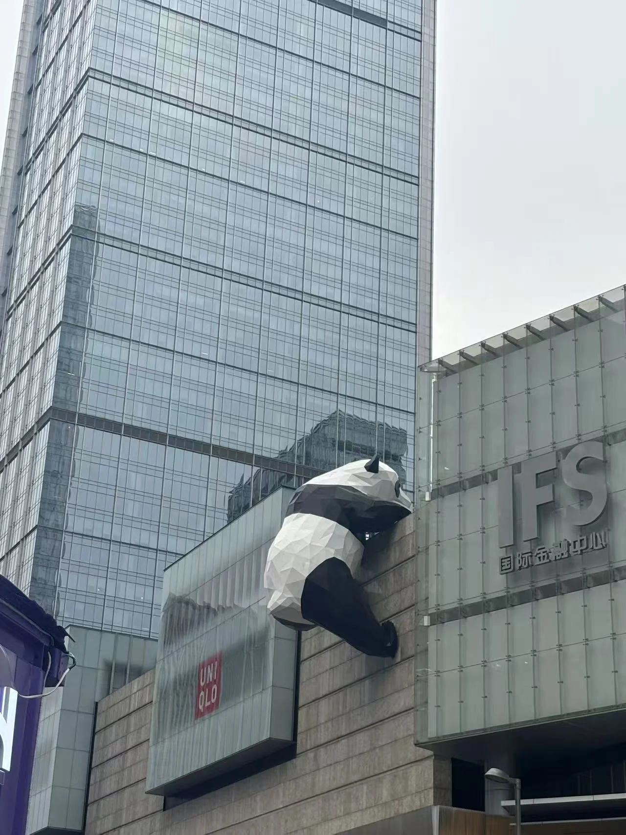 A building with a large panda sculpture attached to the exterior wall, near signs for UNIQLO and TFS.
