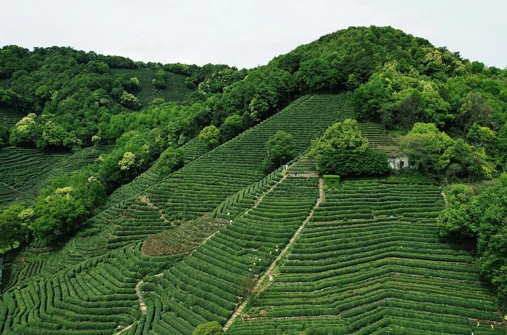 杭州城市地标私人行程