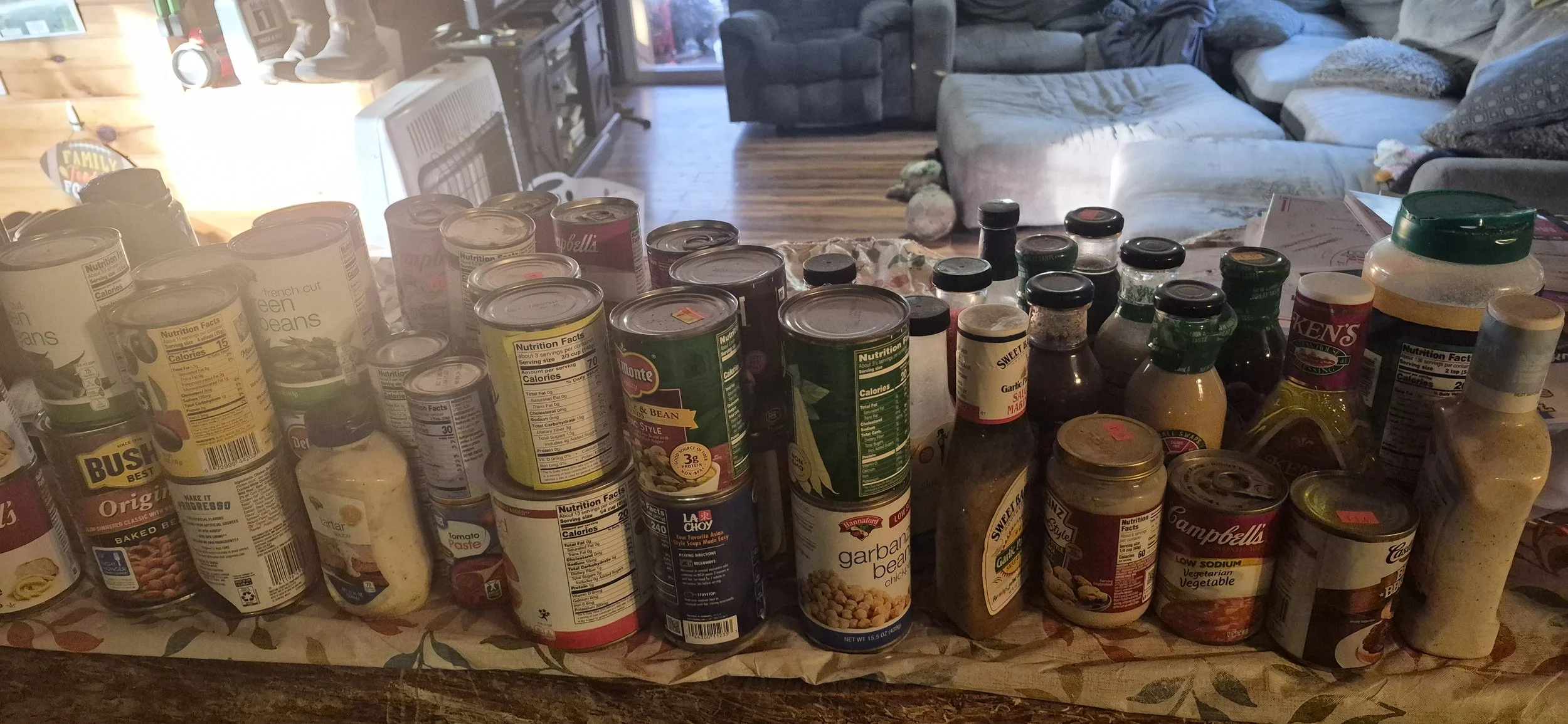 Projectpantry2.jpg