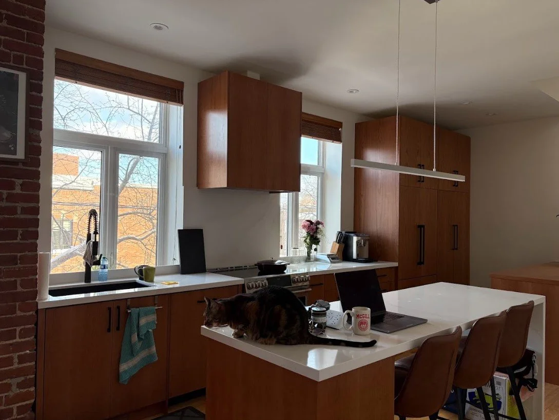 A modern kitchen with wooden cabinets, two large windows, and a white island counter where a cat is lying. The counter has a laptop, mugs, and other items. There are chairs around the island, and a brick wall is partially visible on the left.