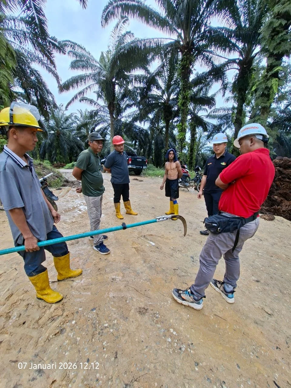 A group of people, some wearing safety helmets and yellow rubber boots, are standing on a dirt road in a tropical area with palm trees. They seem to be inspecting or discussing something, with one person holding a tool.