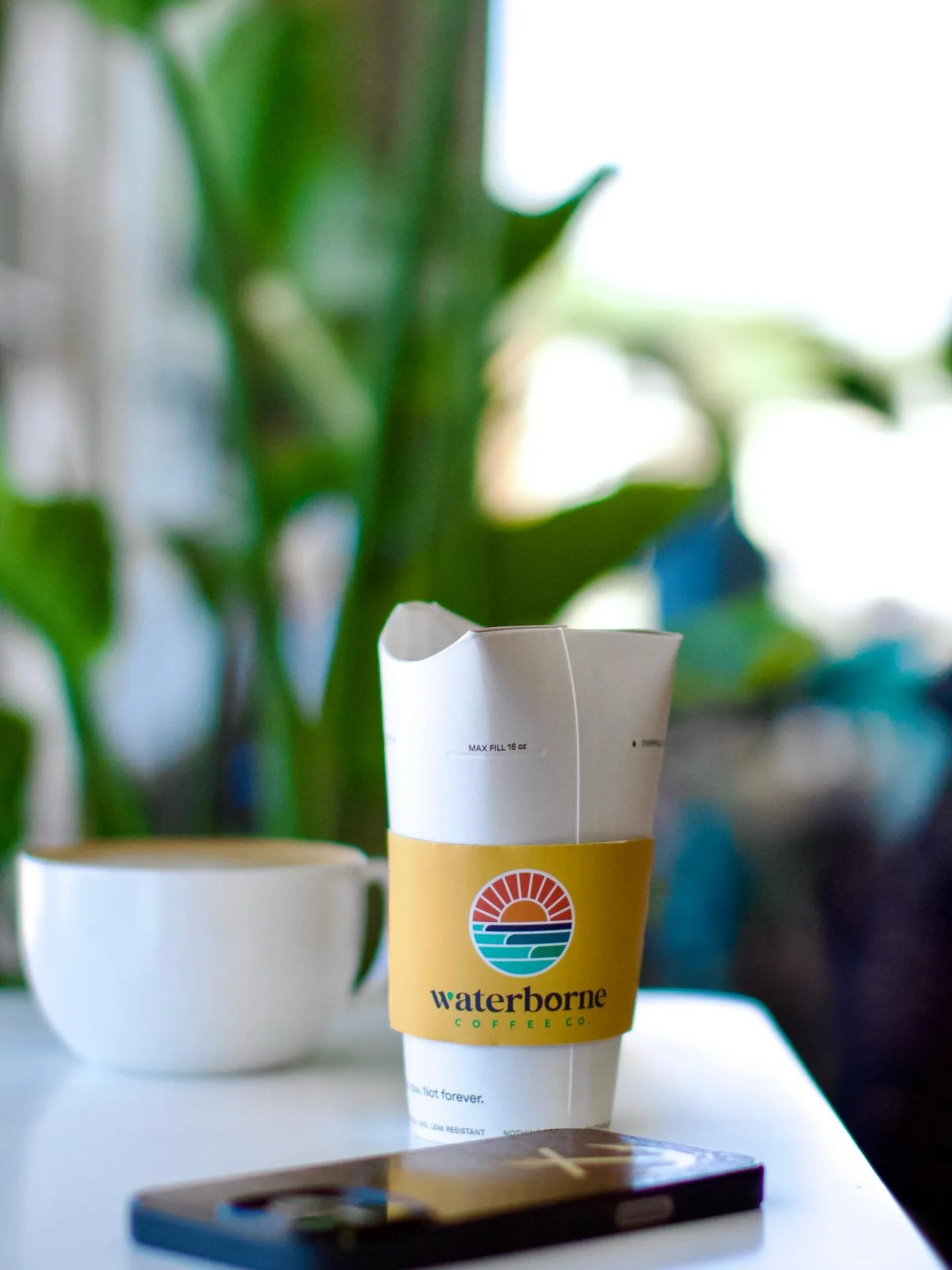 Sippin&rsquo; sunshine, one cup at a time ☀️🌊

Good coffee. Good vibes. No rush.

Grab your moment at Waterborne.

#WaterborneCoffee #StayGrounded #CoastalVibes #CoffeeFirst