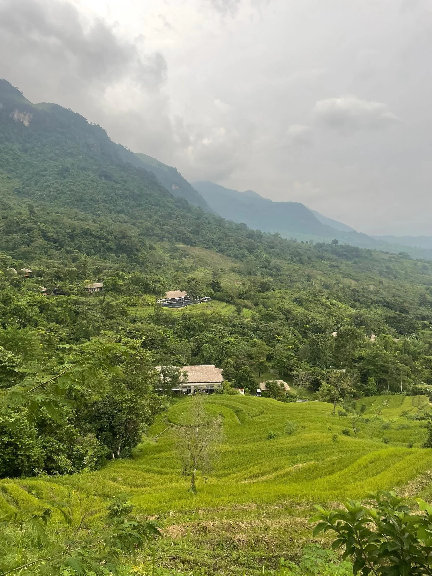 Spent a few days during the kids&rsquo; Fall Break in Mai Ch&acirc;u, a town just northwest (three hours drive) of Hanoi. 

Mountainous, lush, and (literally) a breath of fresh air. 

Fall Break is a new concept I&rsquo;ve had to get used to as we im