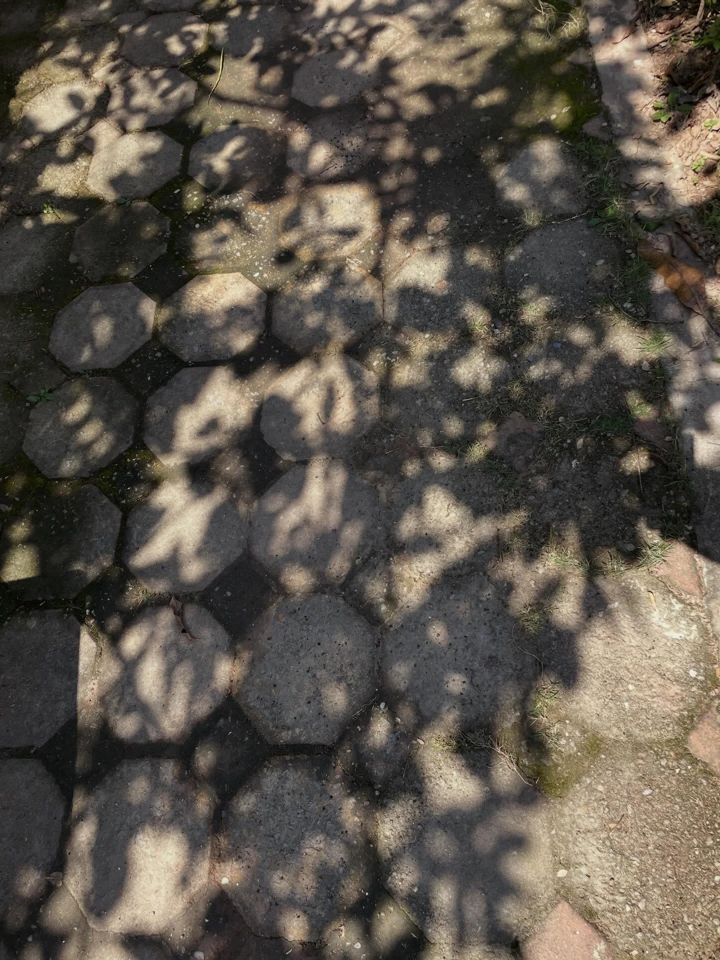 Slowly becoming a grid dedicated to shadows&hellip;