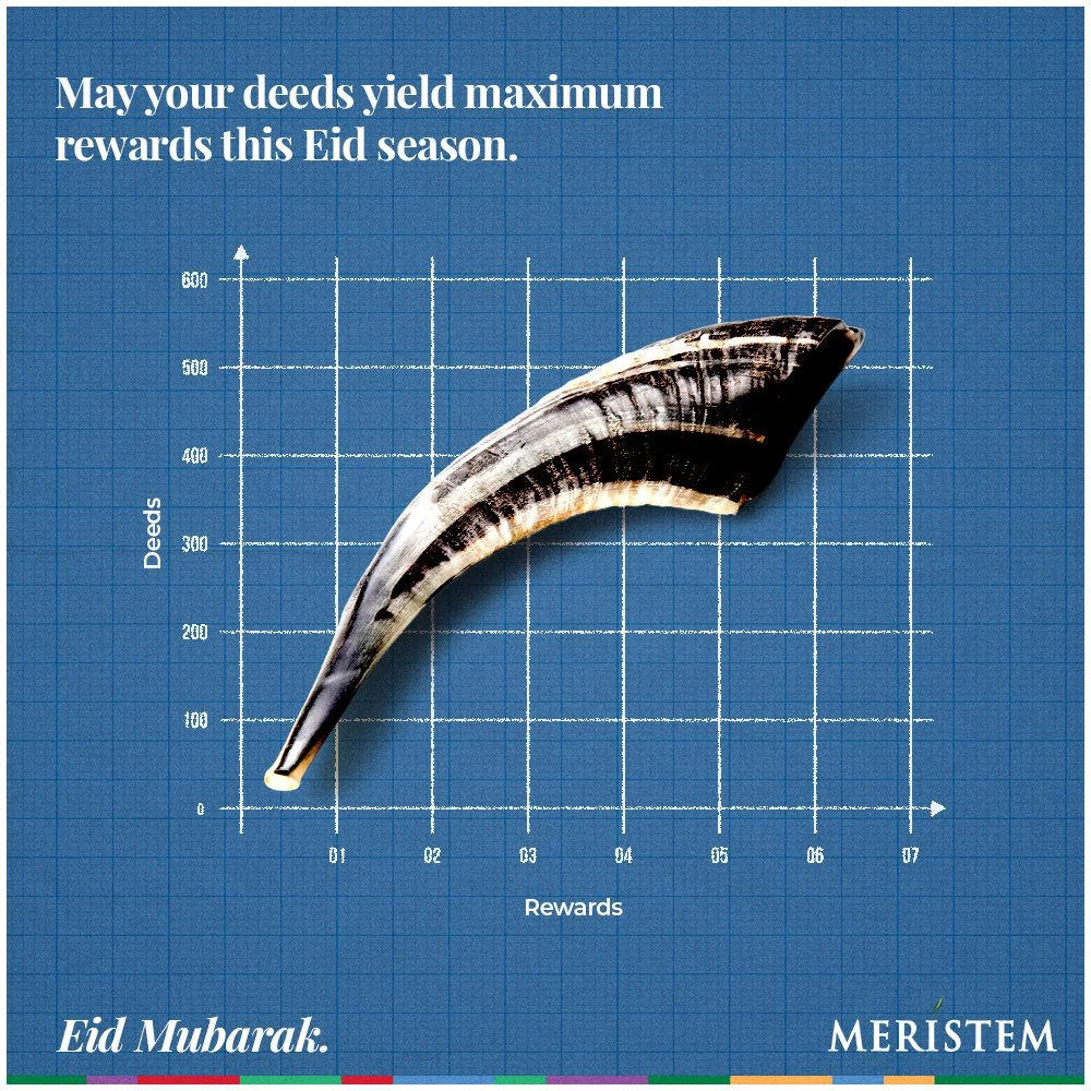 Meristem Eid Bii.jpg