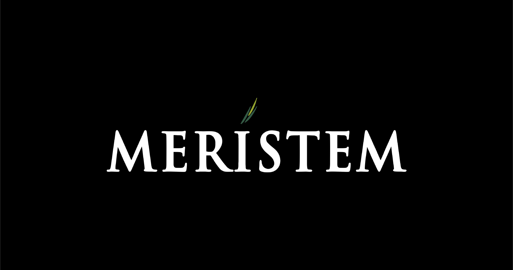 Meristem ETF: All The Good Stuff