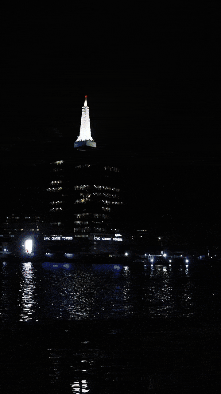 born social 2 gif.gif