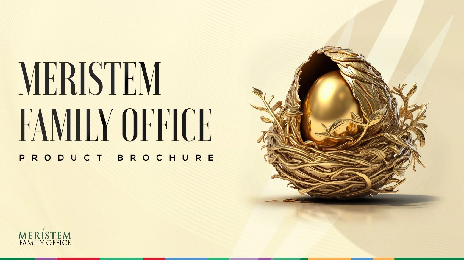 MFO Brochure front.jpg