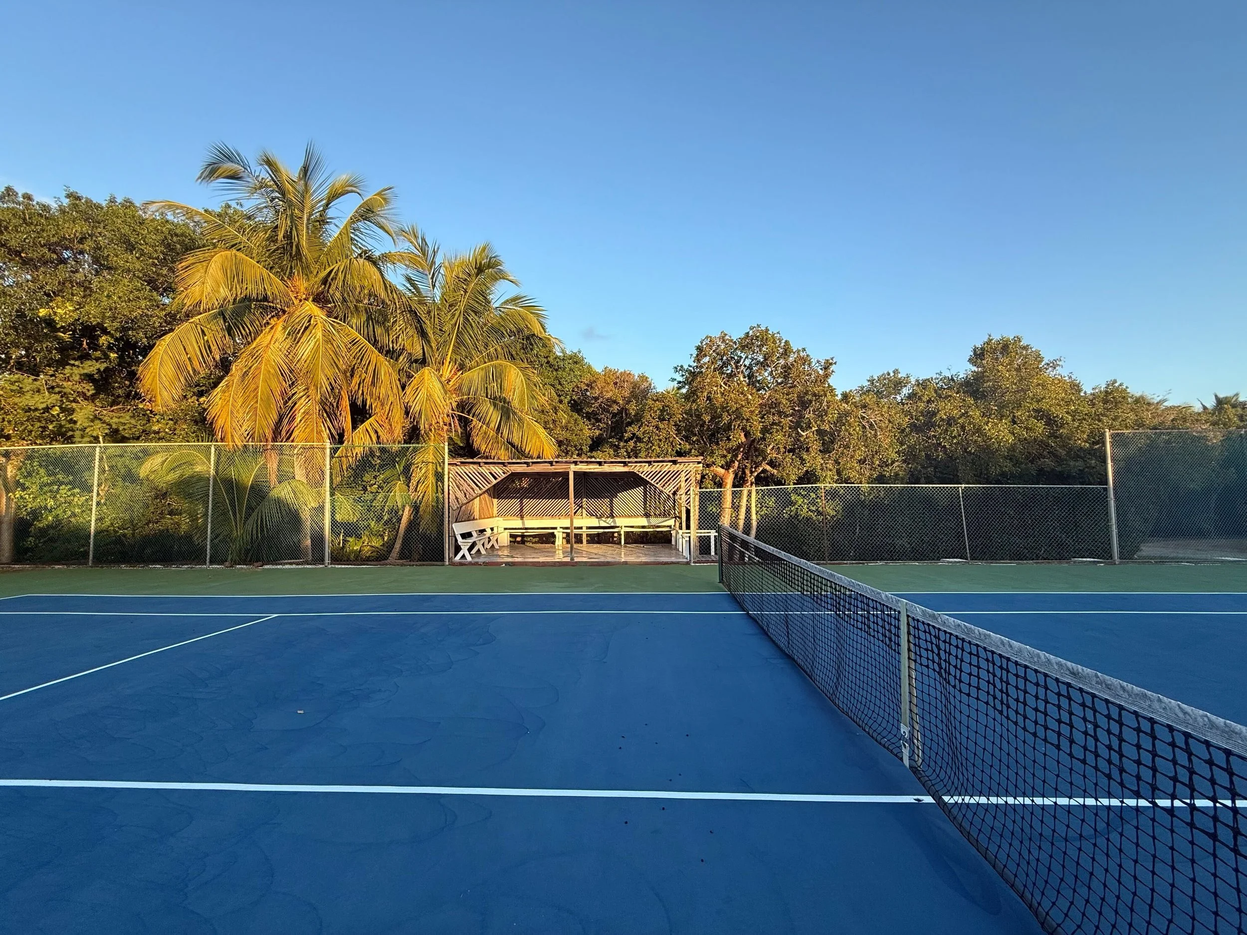 South Bar Club Tennis