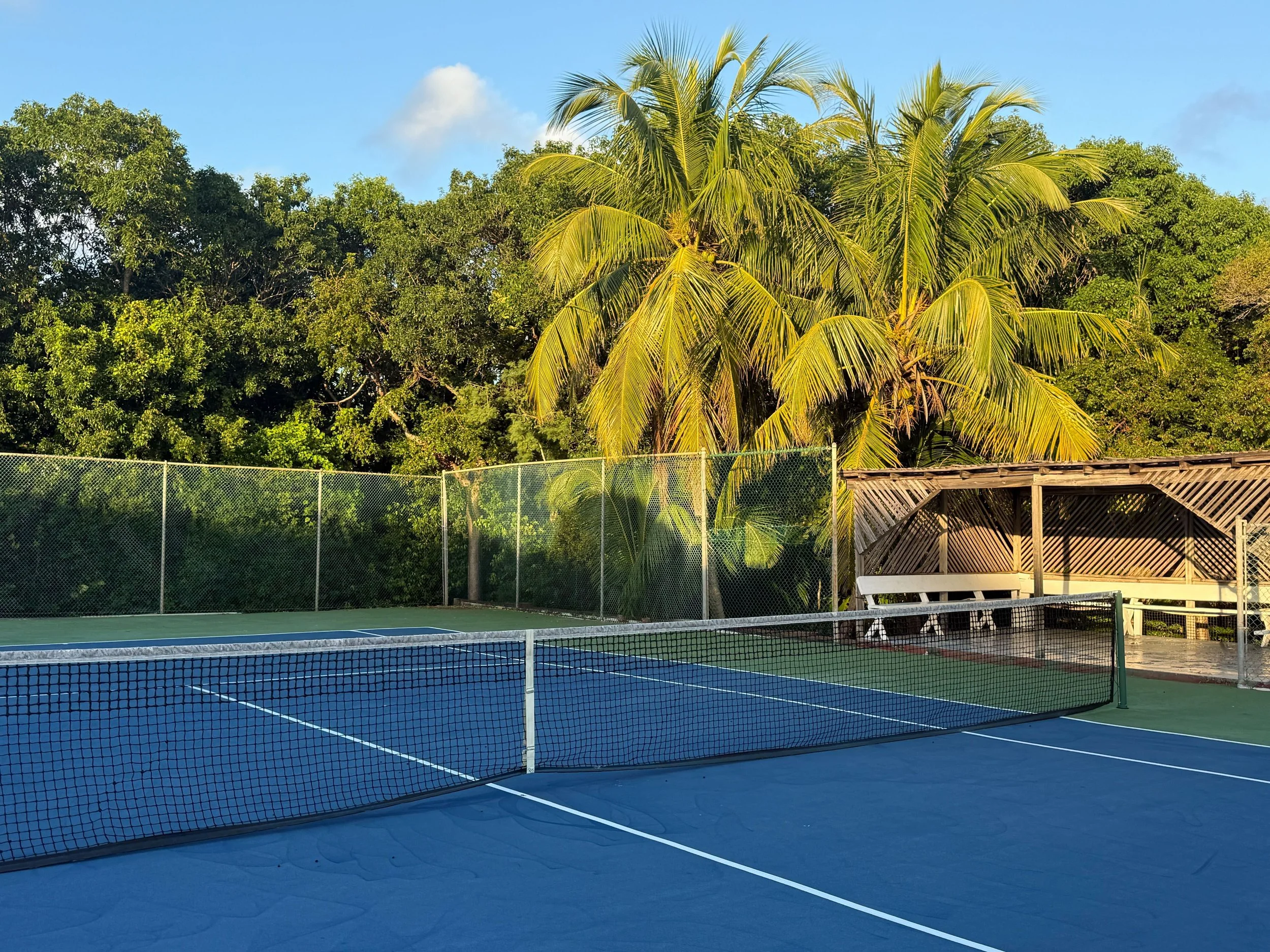 South Bar Club Tennis