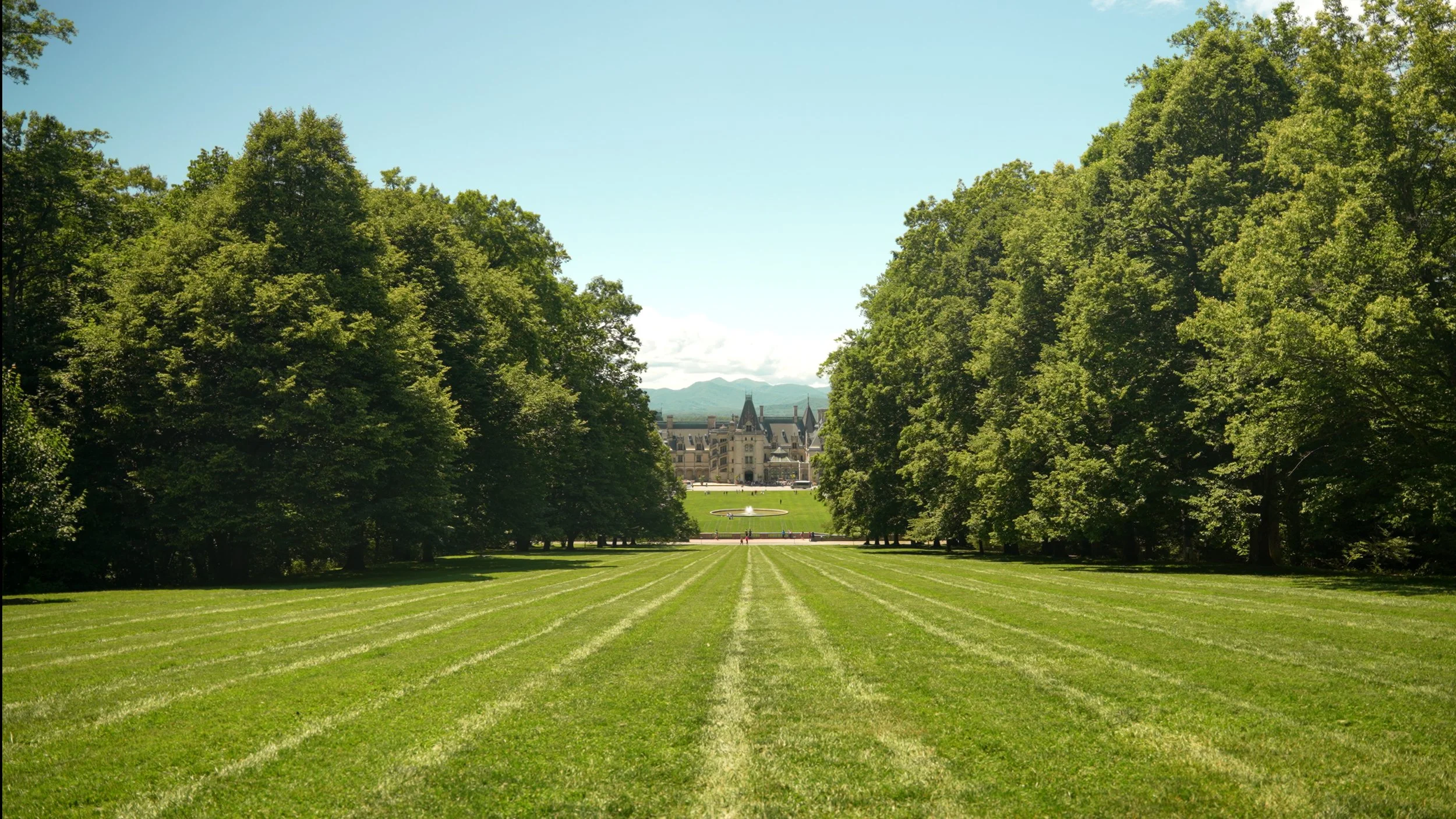 12_natalie & david_color.jpg