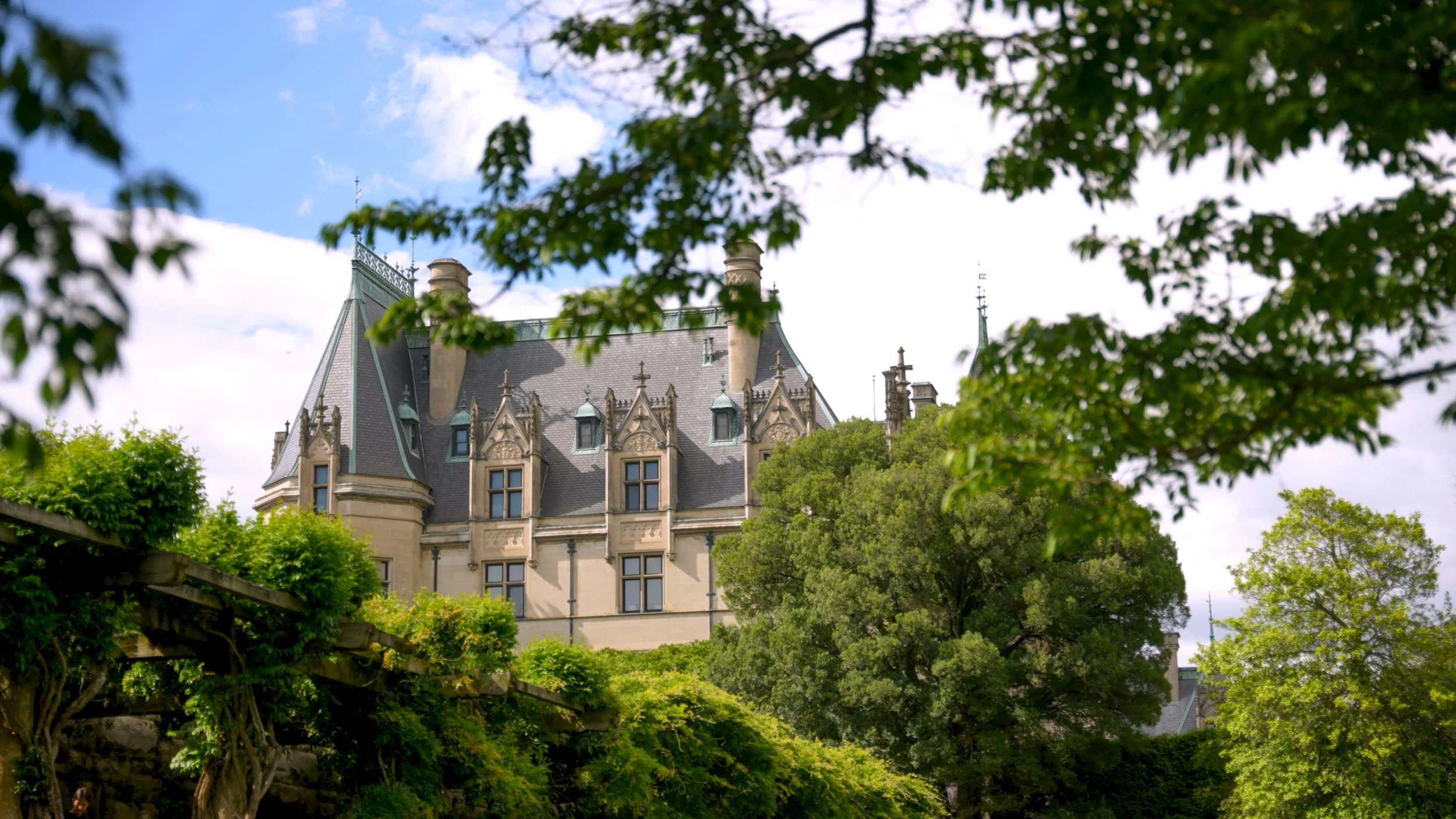 11_natalie & david_color.jpg