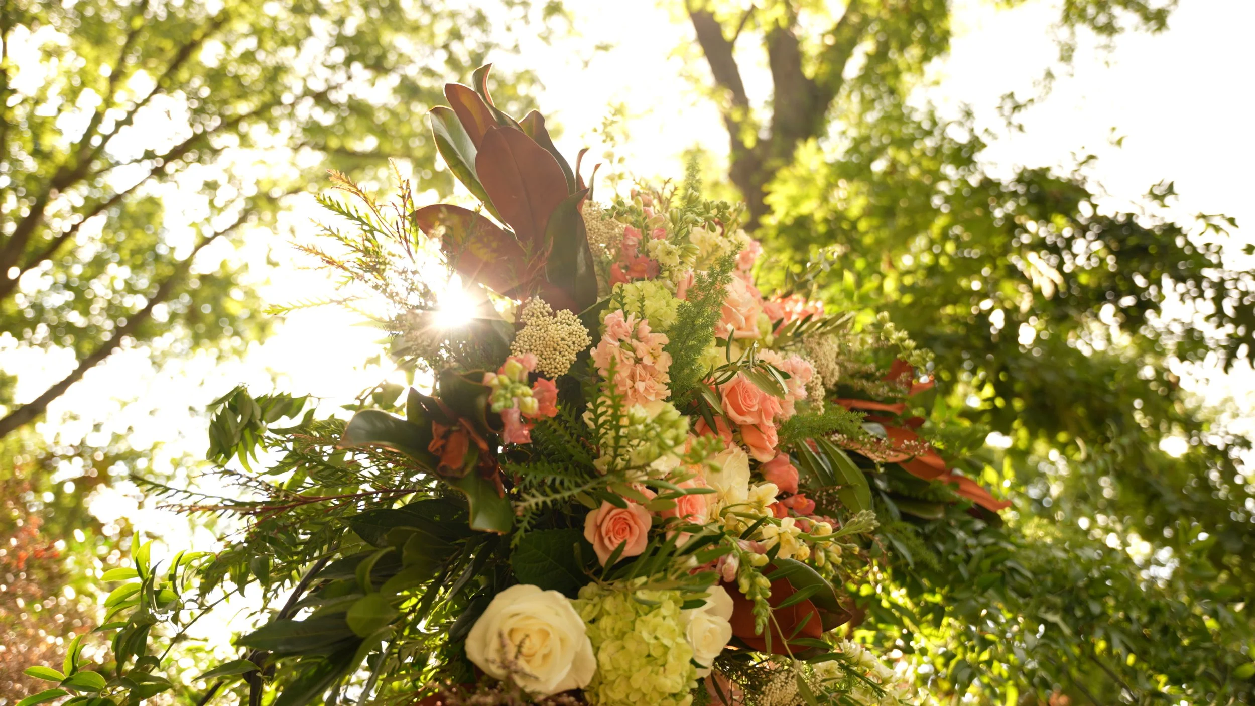 11_eliza andrew stills_color.jpg