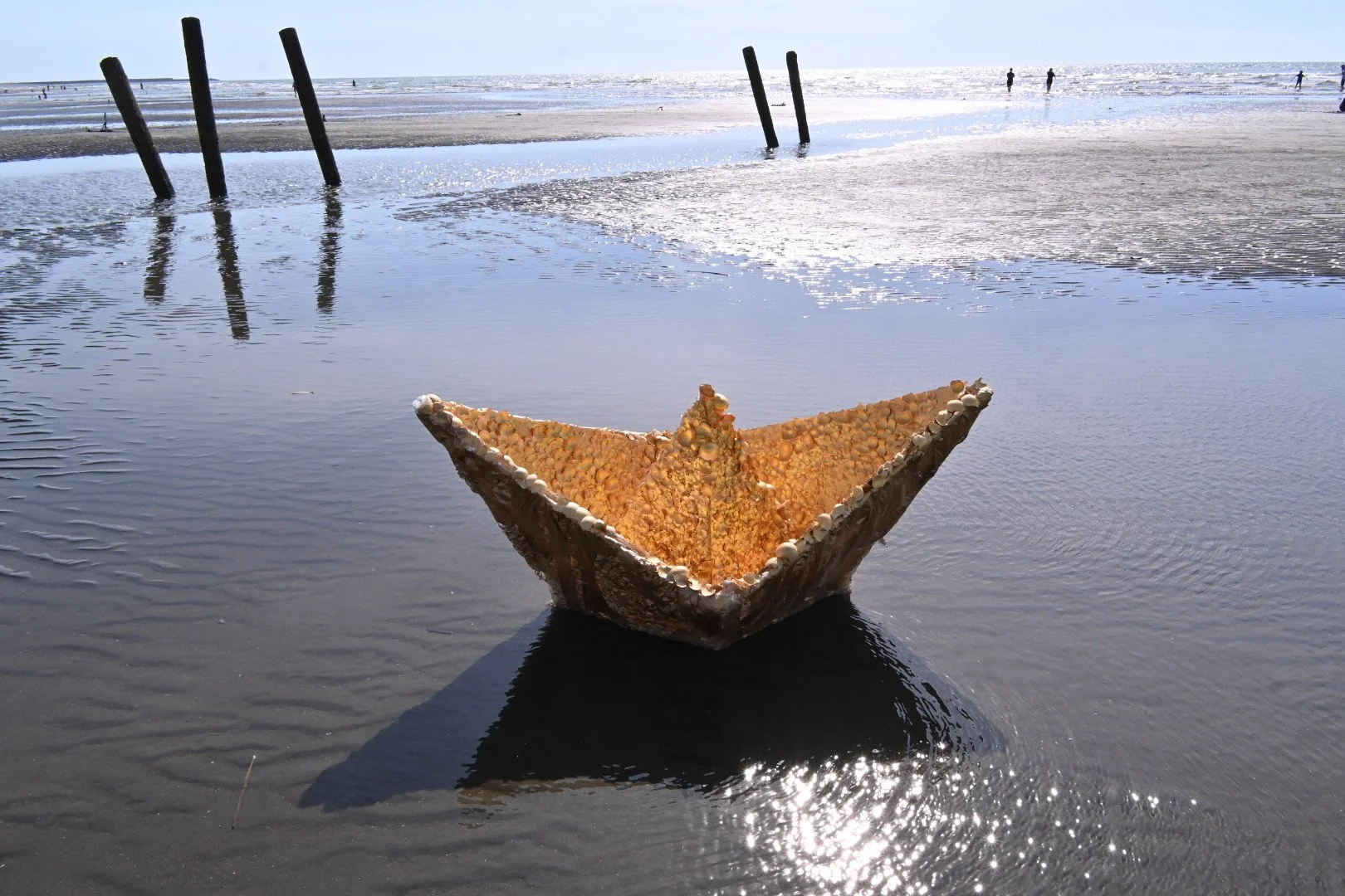 A shell on the sandy beach at low tide, with the ocean and a few people in the distance in the background.