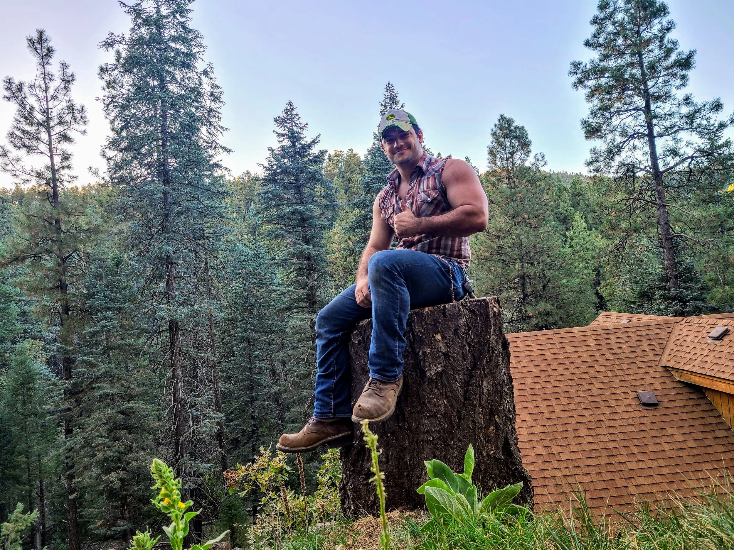 Man sitting on a tree stump in a forest, giving a thumbs up, wearing a plaid sleeveless shirt, jeans, and work boots, with trees and a house roof in the background.