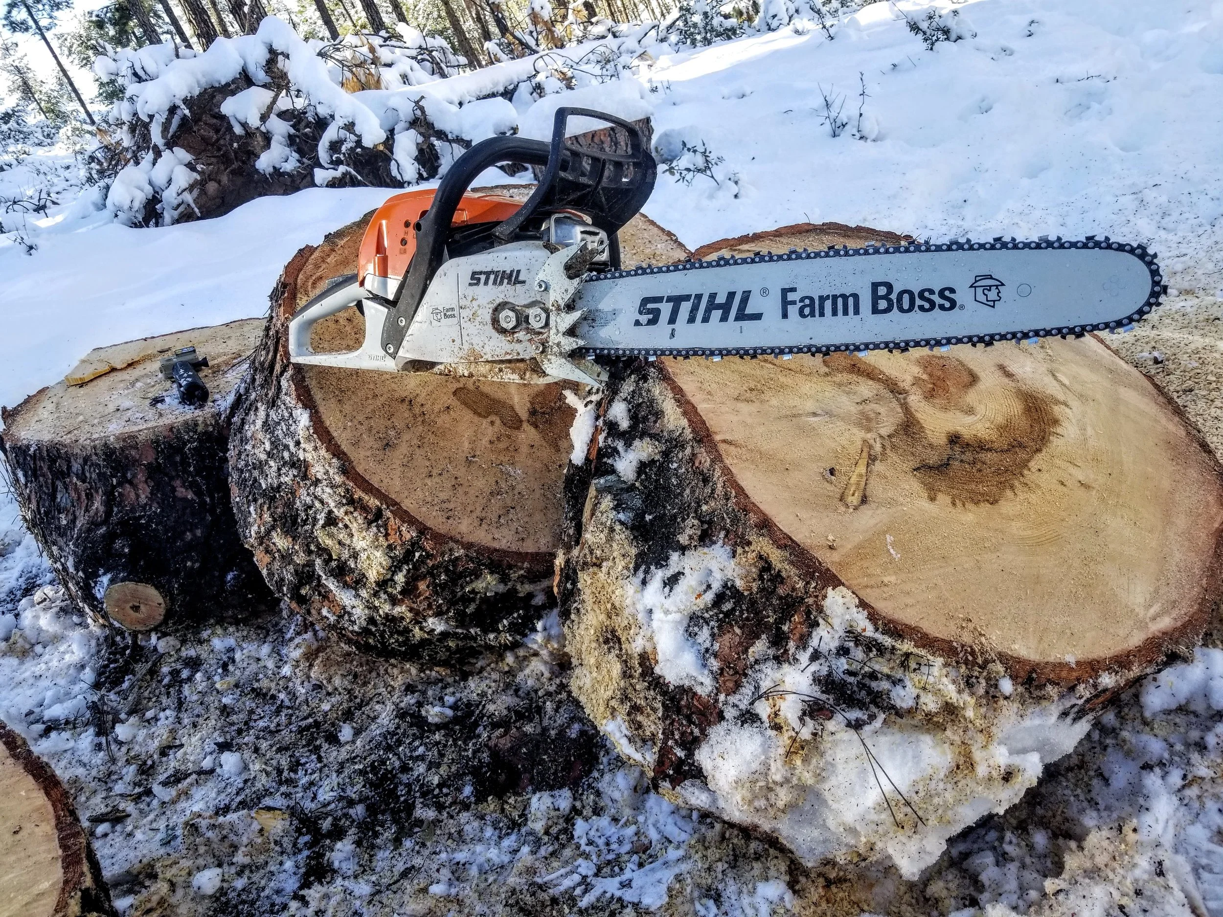 A chainsaw resting on a large cut log with snow and trees in the background.