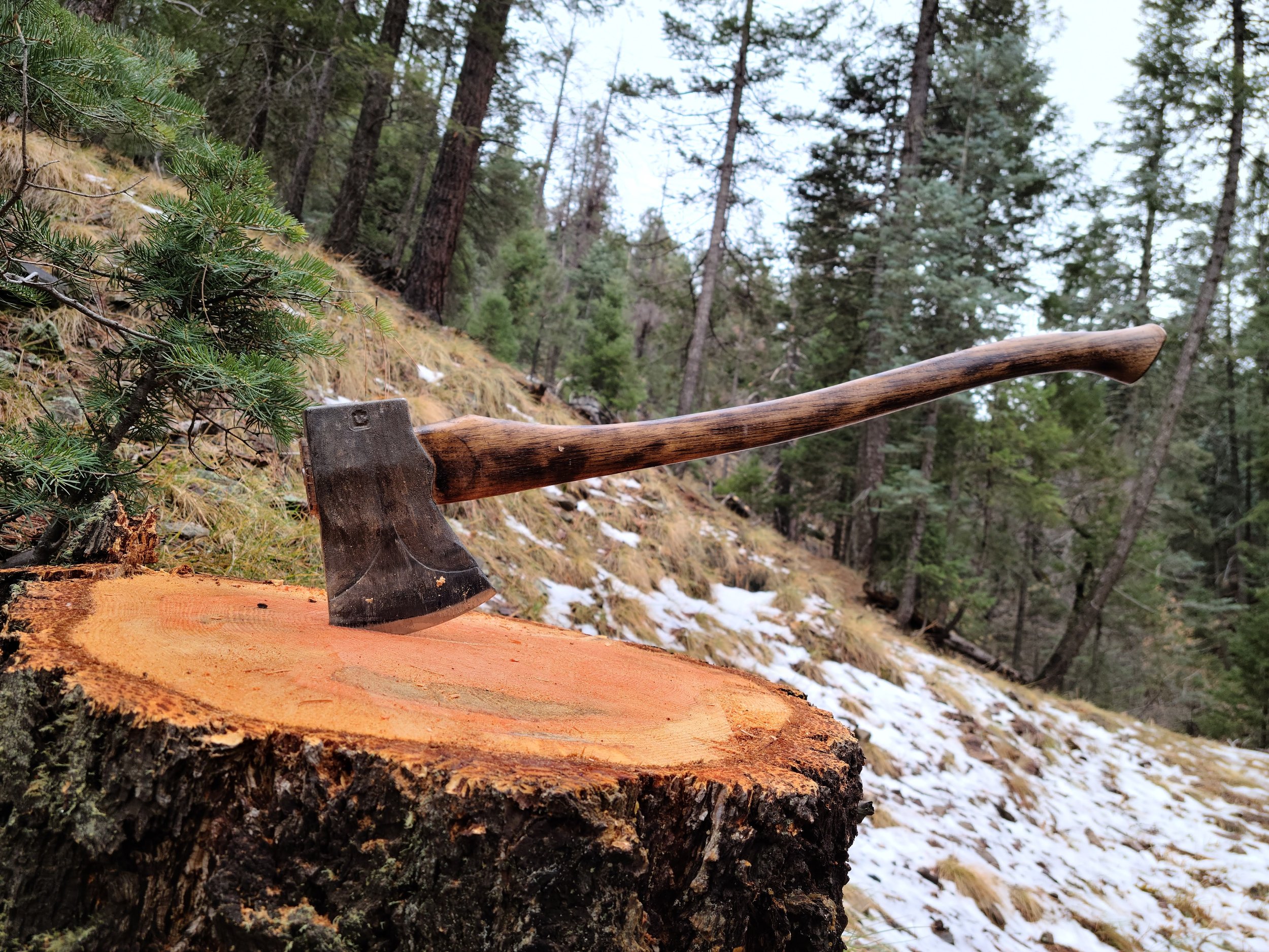 An axe embedded in a freshly cut tree stump in a forest with snow on the ground and green trees in the background.