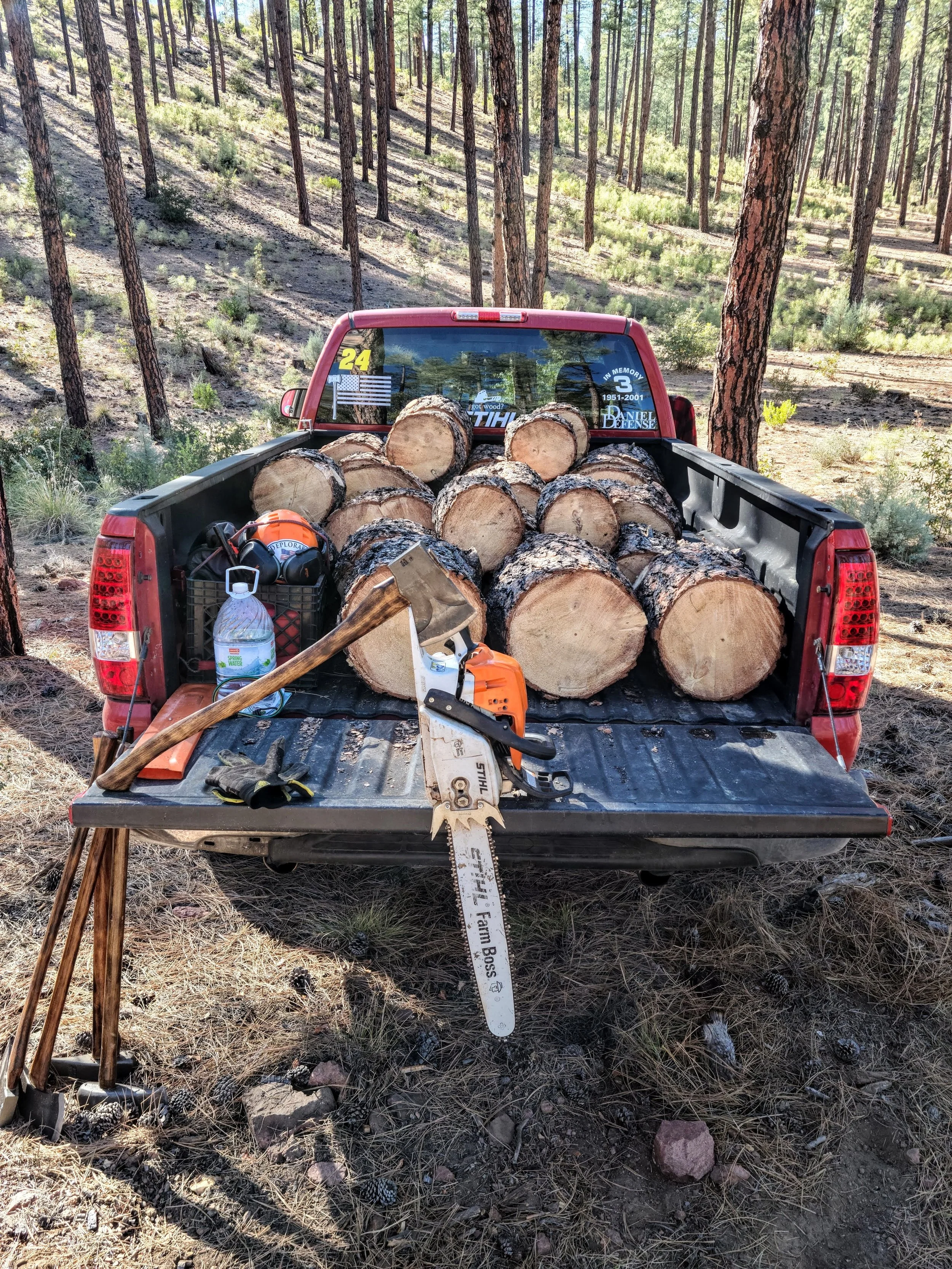 Pickup truck bed filled with cut logs and wood-cutting tools, including an axe, chainsaw, and work gloves, in a forested area.