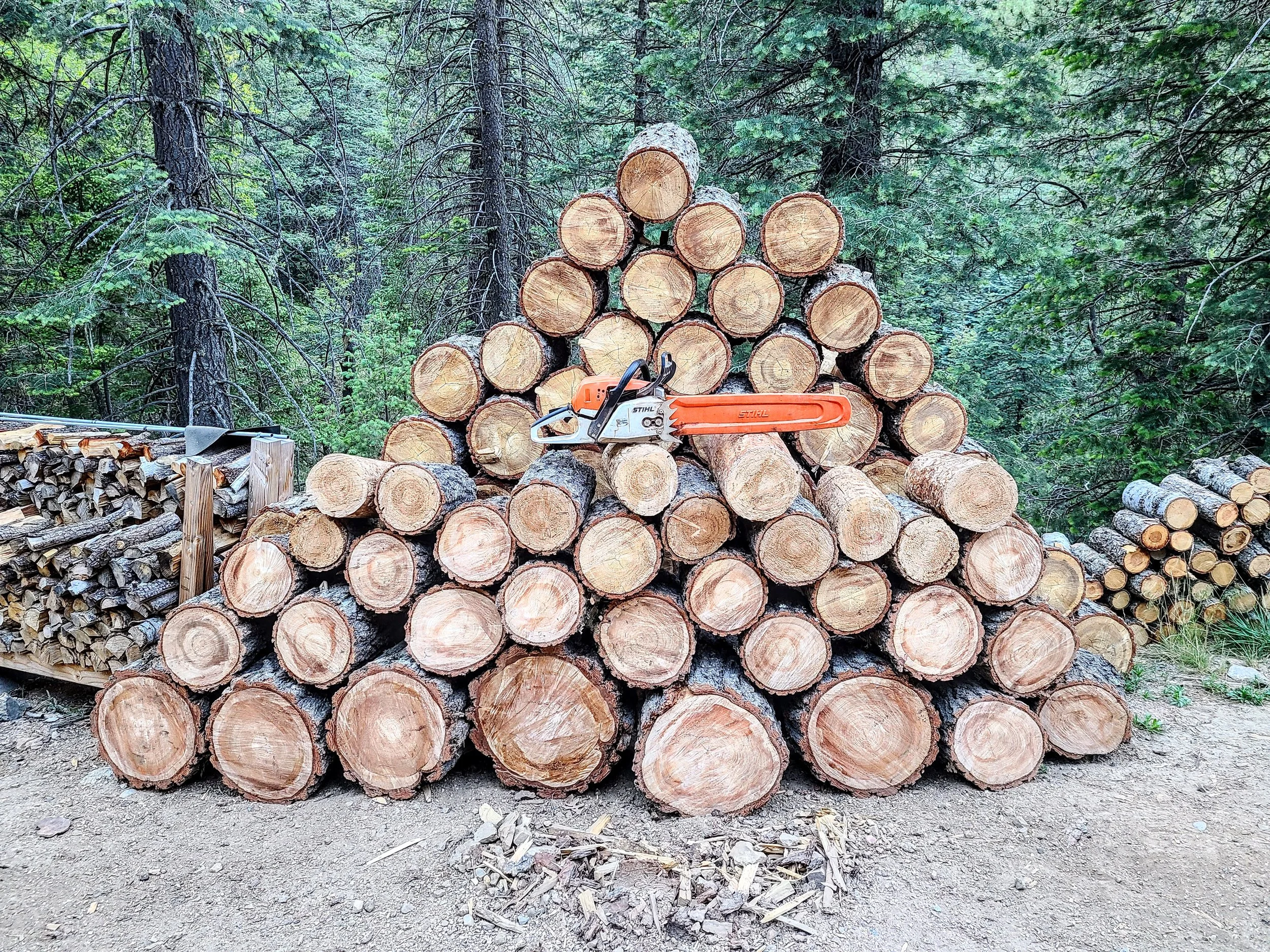 Piled logs of cut wood stacked in a triangular shape with a chainsaw resting on top, surrounded by trees in a forest.
