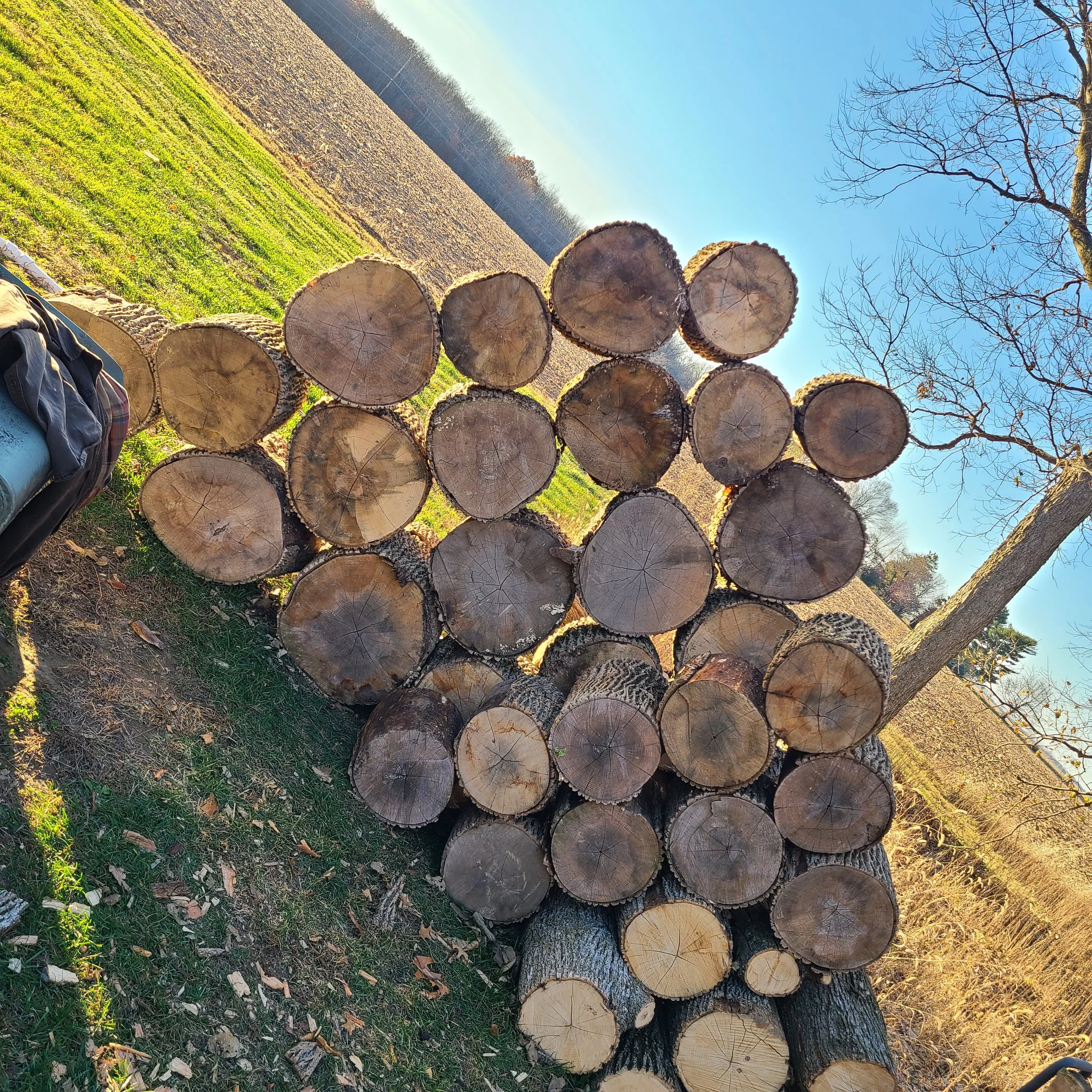 Stack of cut logs arranged in a pyramid shape outdoors on grass with trees and fields in the background under a clear blue sky.