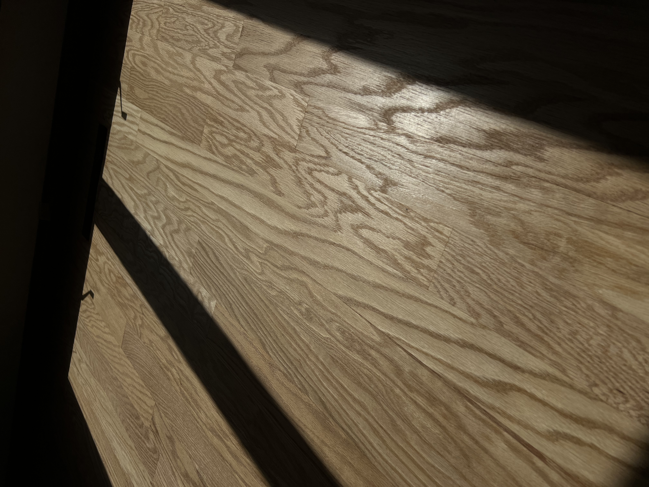 Close-up of a wooden floor with sunlight and shadow cast across it.