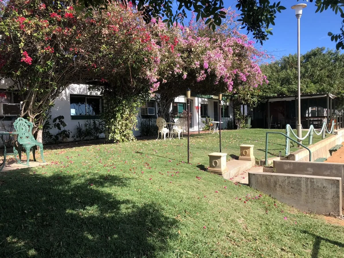 A grassy area with flowering trees, outdoor seating, and a building with windows. The scene includes colorful blooming branches and a clear blue sky.