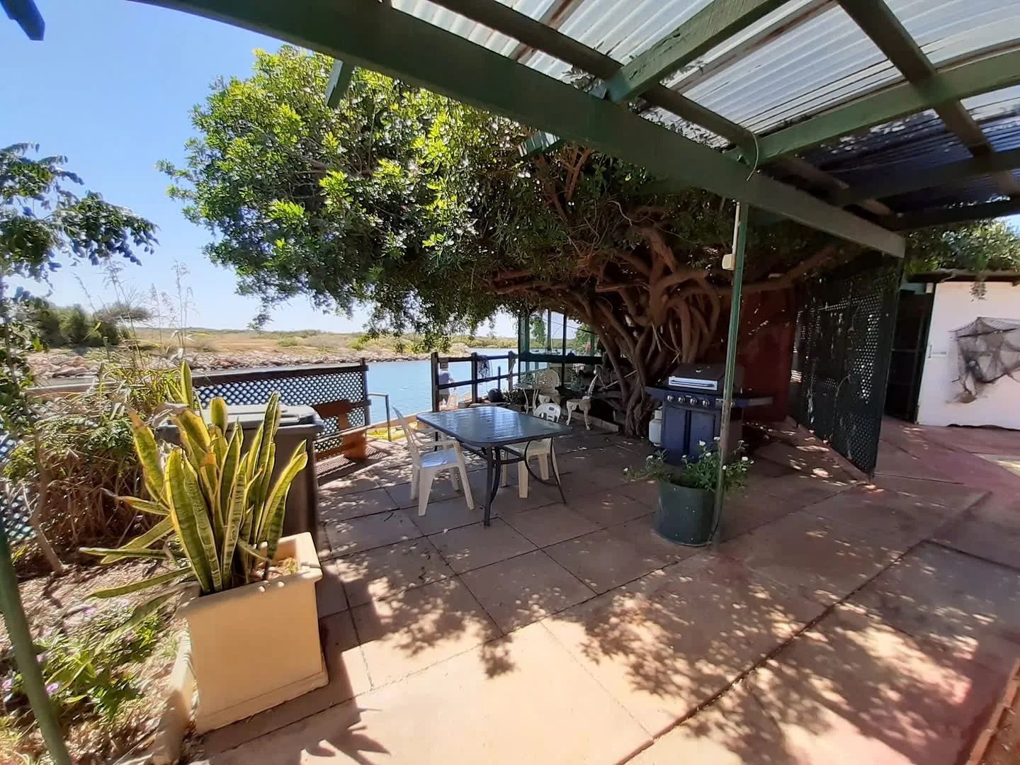 A shaded outdoor patio with a large tree, a dining table with chairs, potted plants, a barbecue grill, and a view of a river in the background.