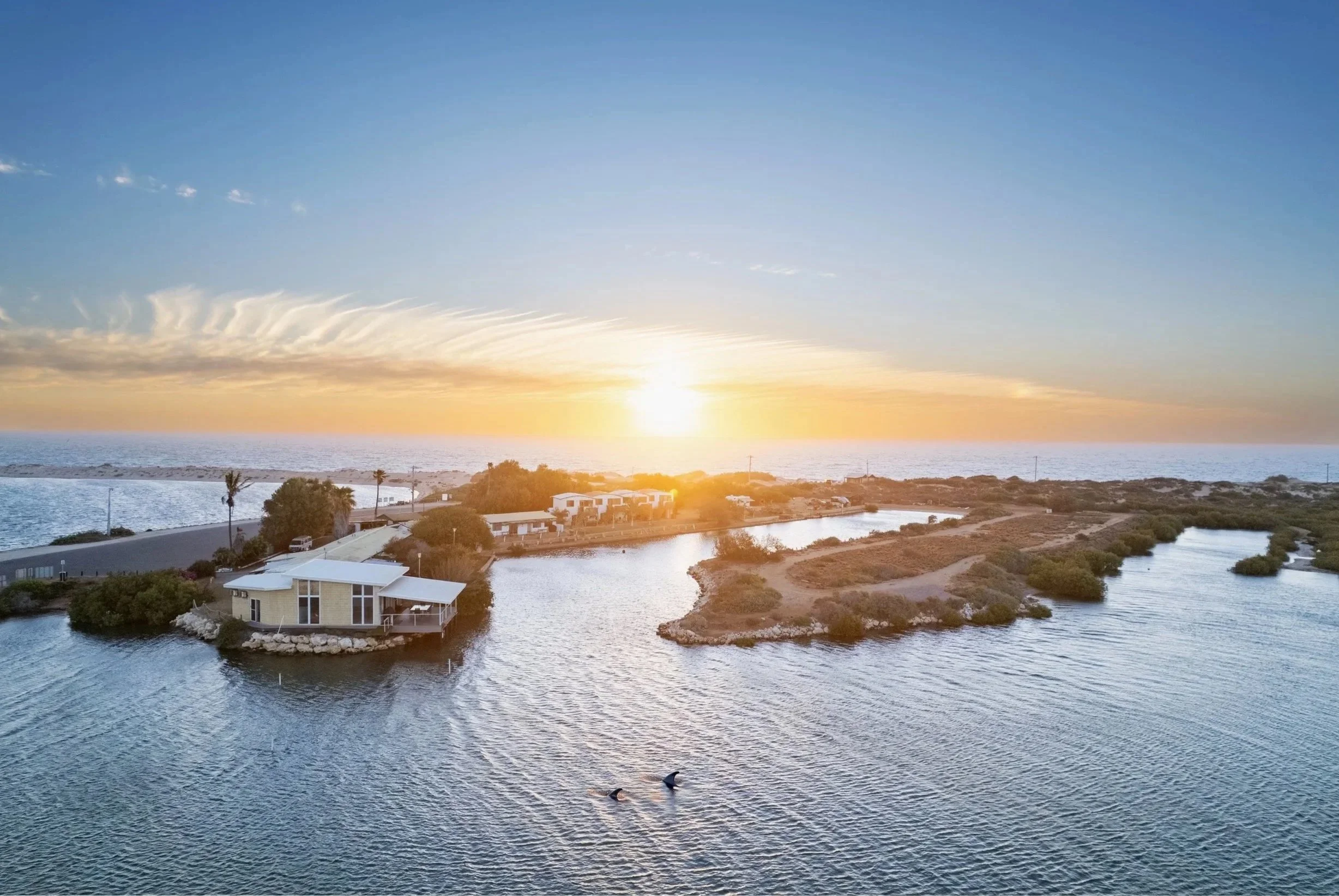 Sunset over a coastal landscape with water, houses, vegetation, and dolphins in the water.