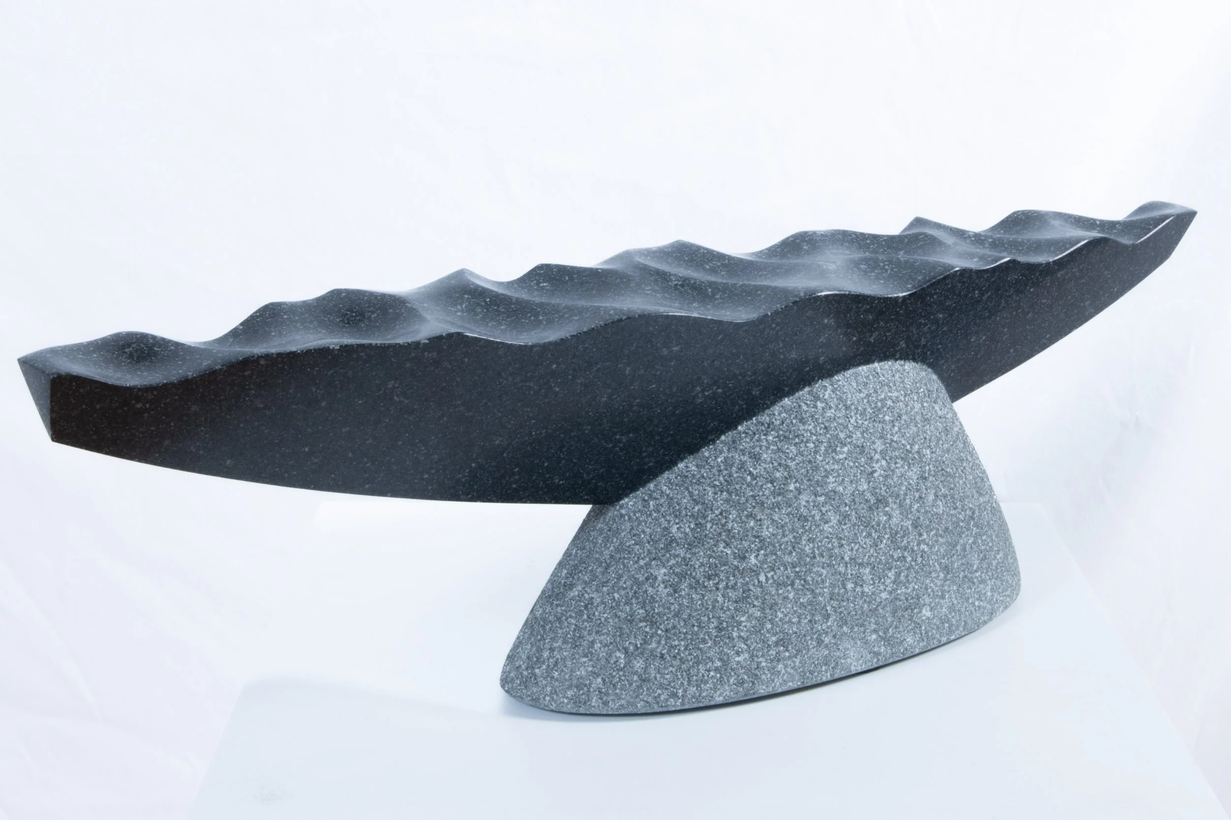 Rising Tide 2023.jpg