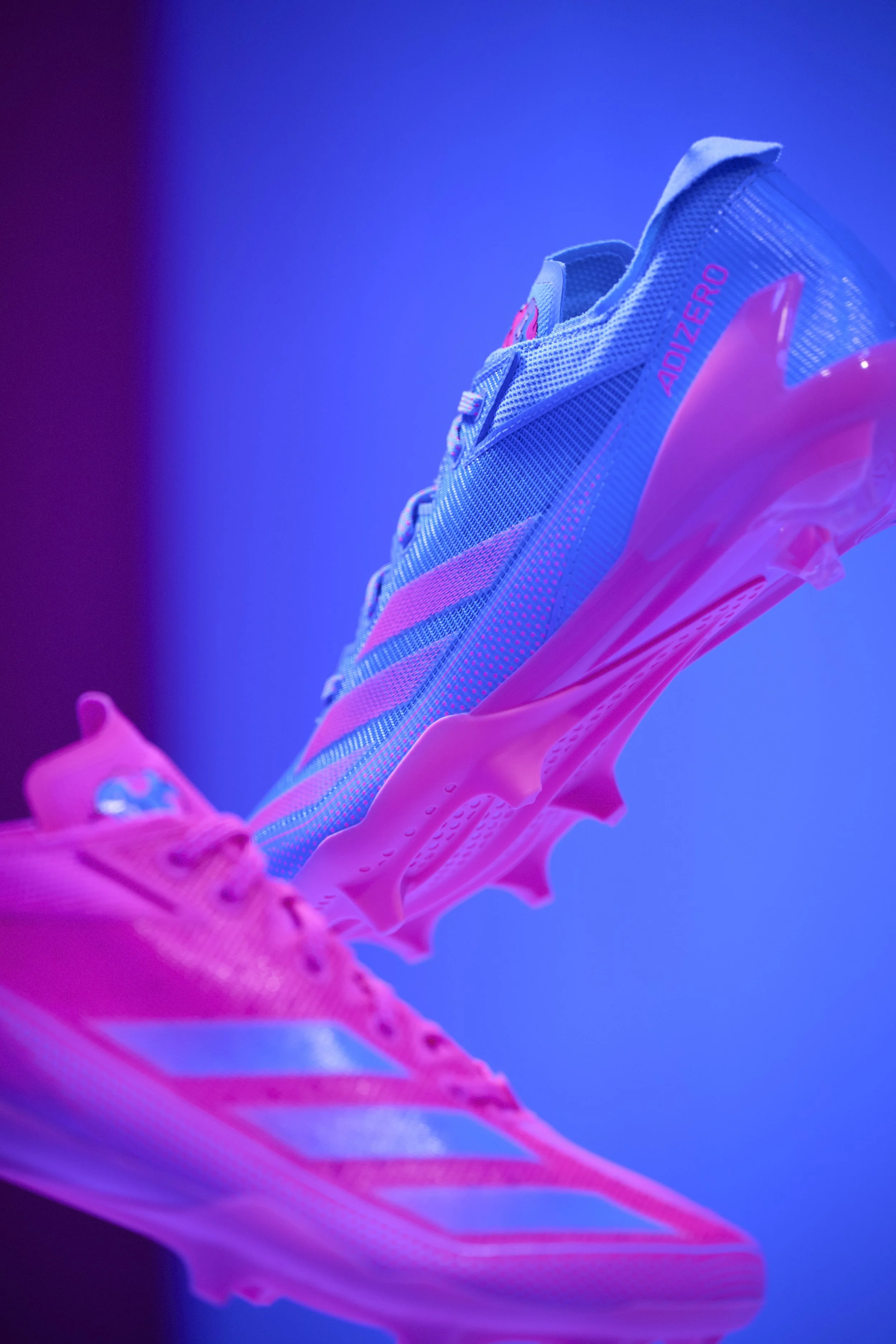 SNACK_PACK_0 495.jpg