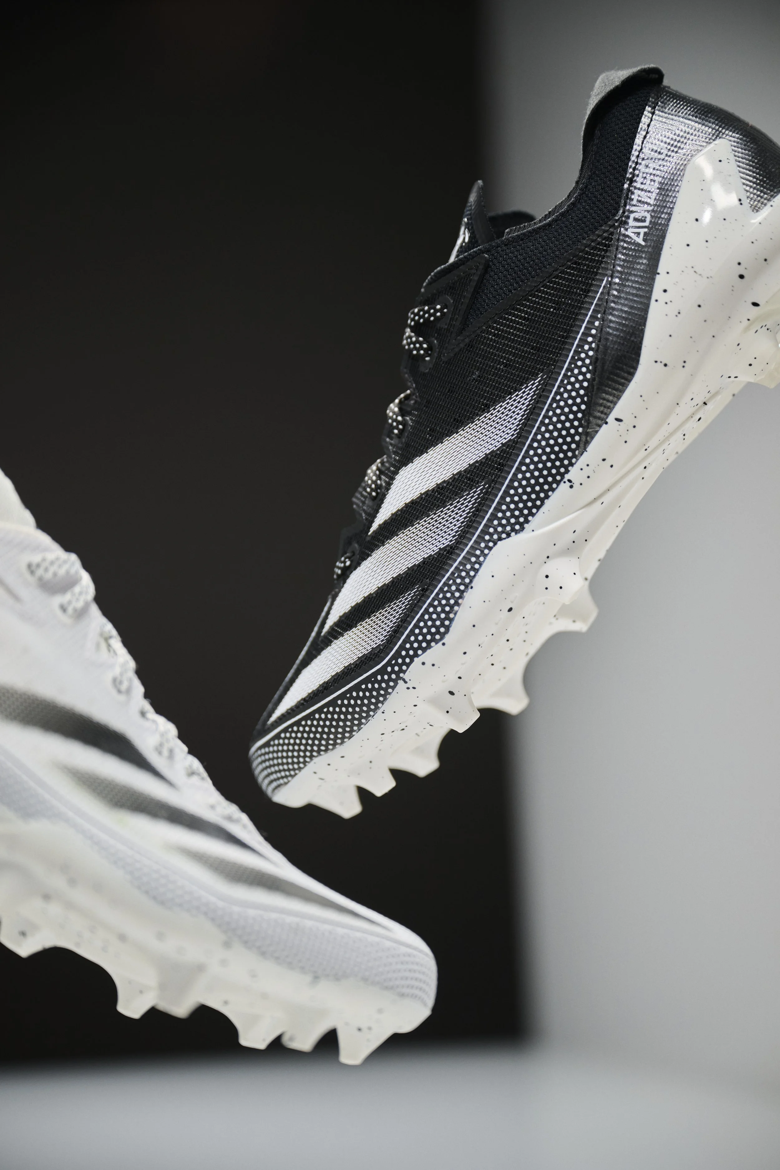 SNACK_PACK_0 1098.jpg