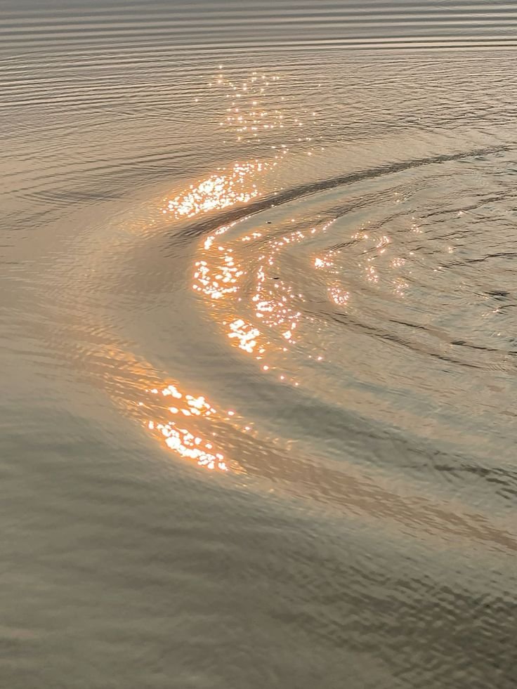 Sunlight reflecting off the water's surface, creating sparkling patterns and gentle ripples.
