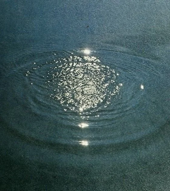 A close-up of water with a droplet splash creating ripples and reflections of sunlight.